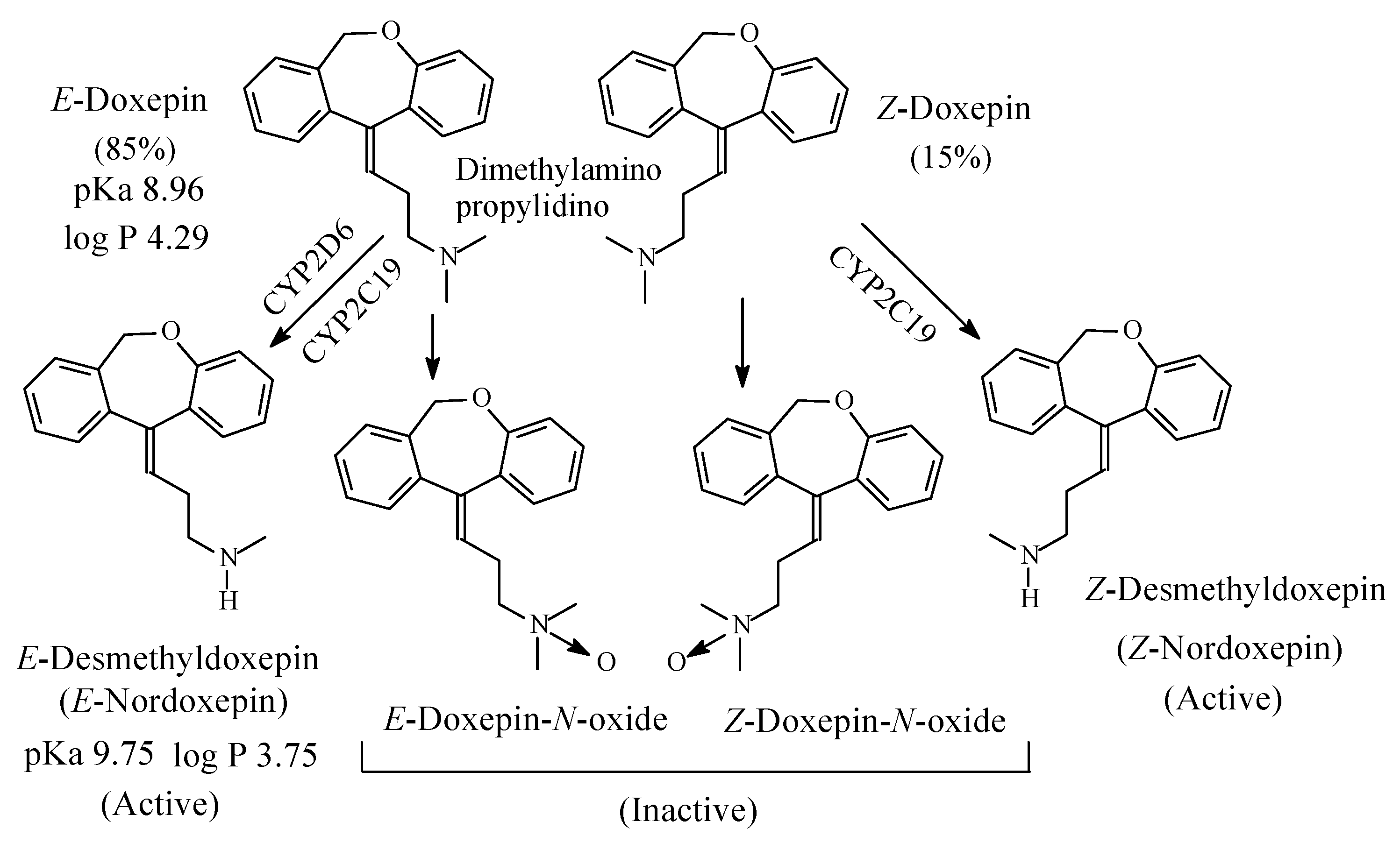 Molecules 26 01917 g007