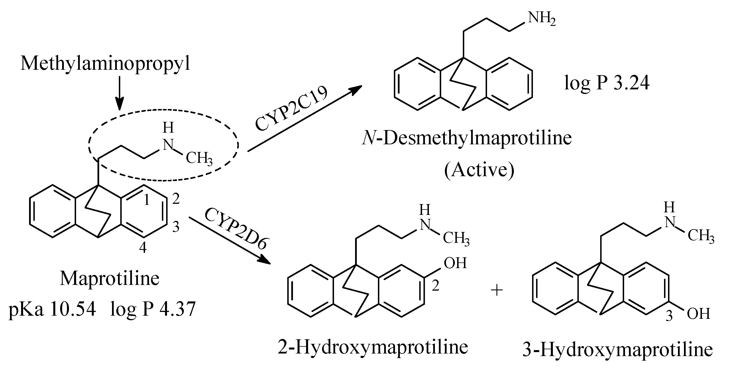 Molecules 26 01917 g008