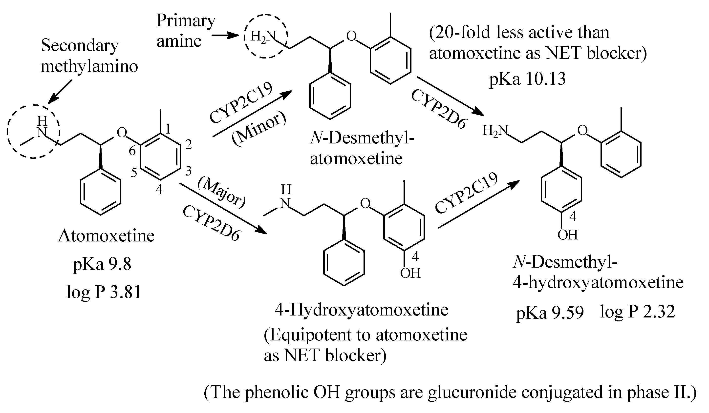 Molecules 26 01917 g009