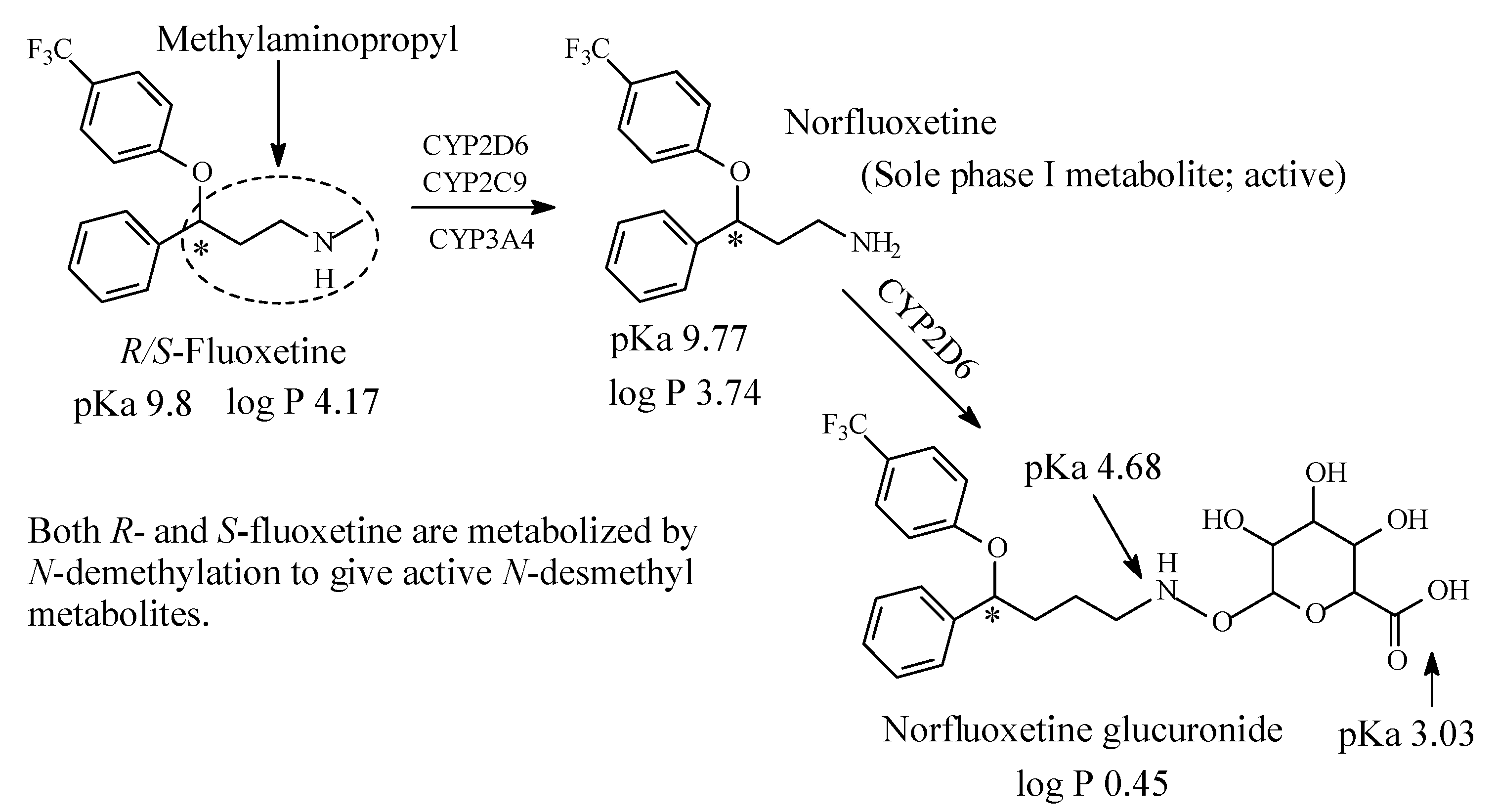Molecules 26 01917 g010