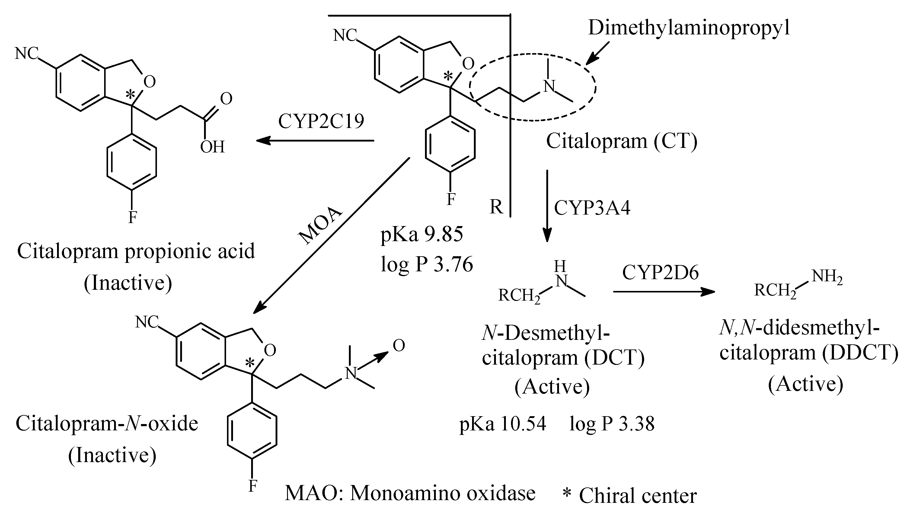 Molecules 26 01917 g011