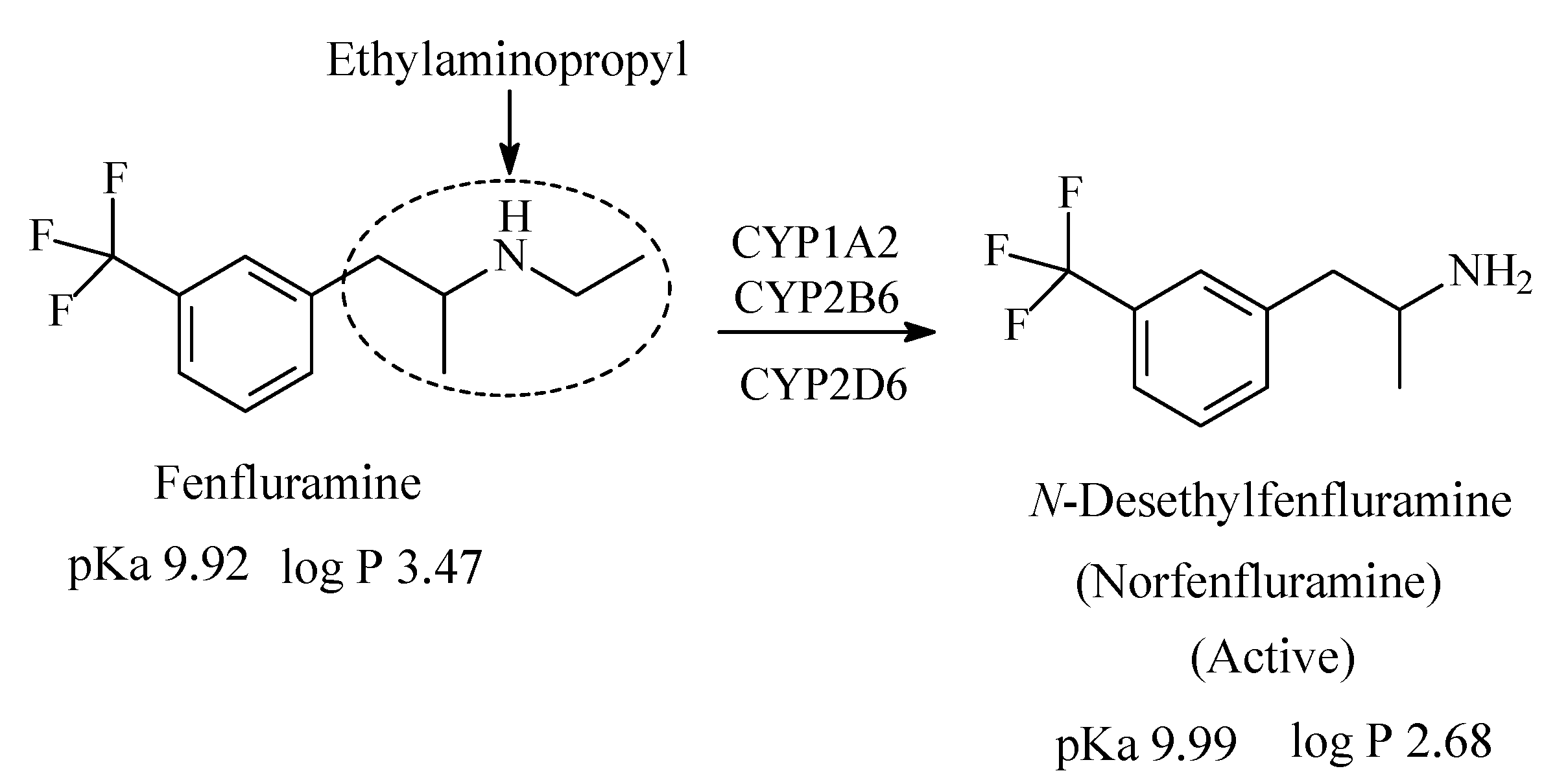Molecules 26 01917 g013