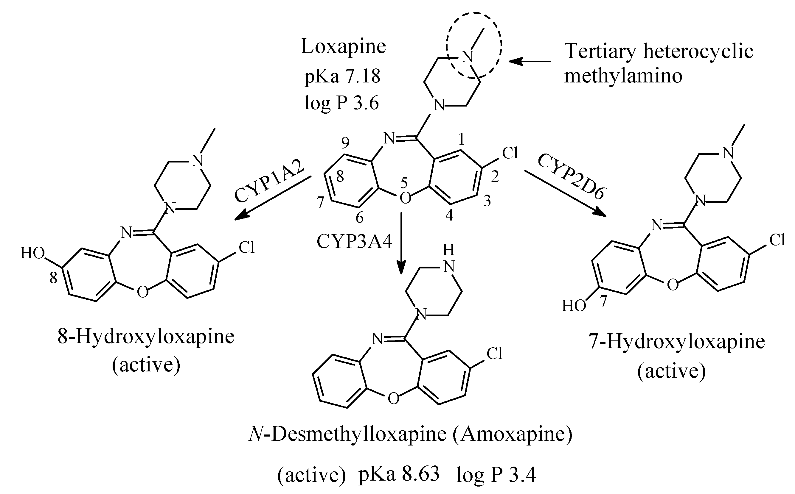 Molecules 26 01917 g014