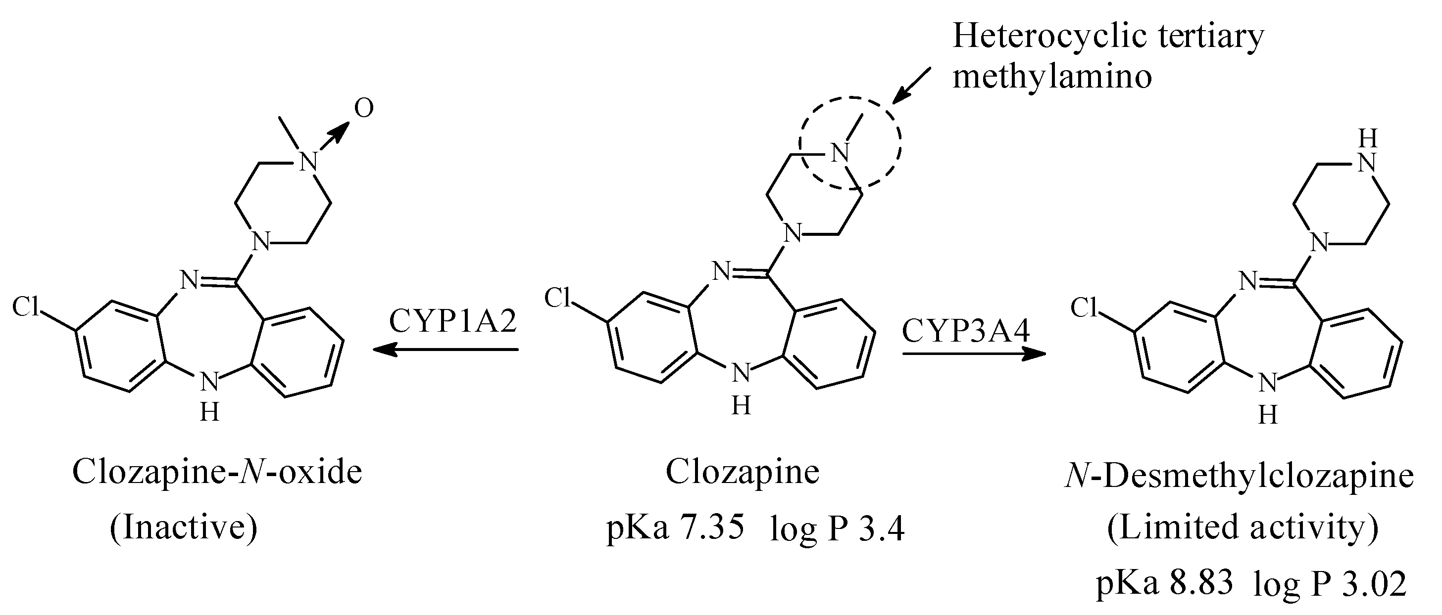 Molecules 26 01917 g015