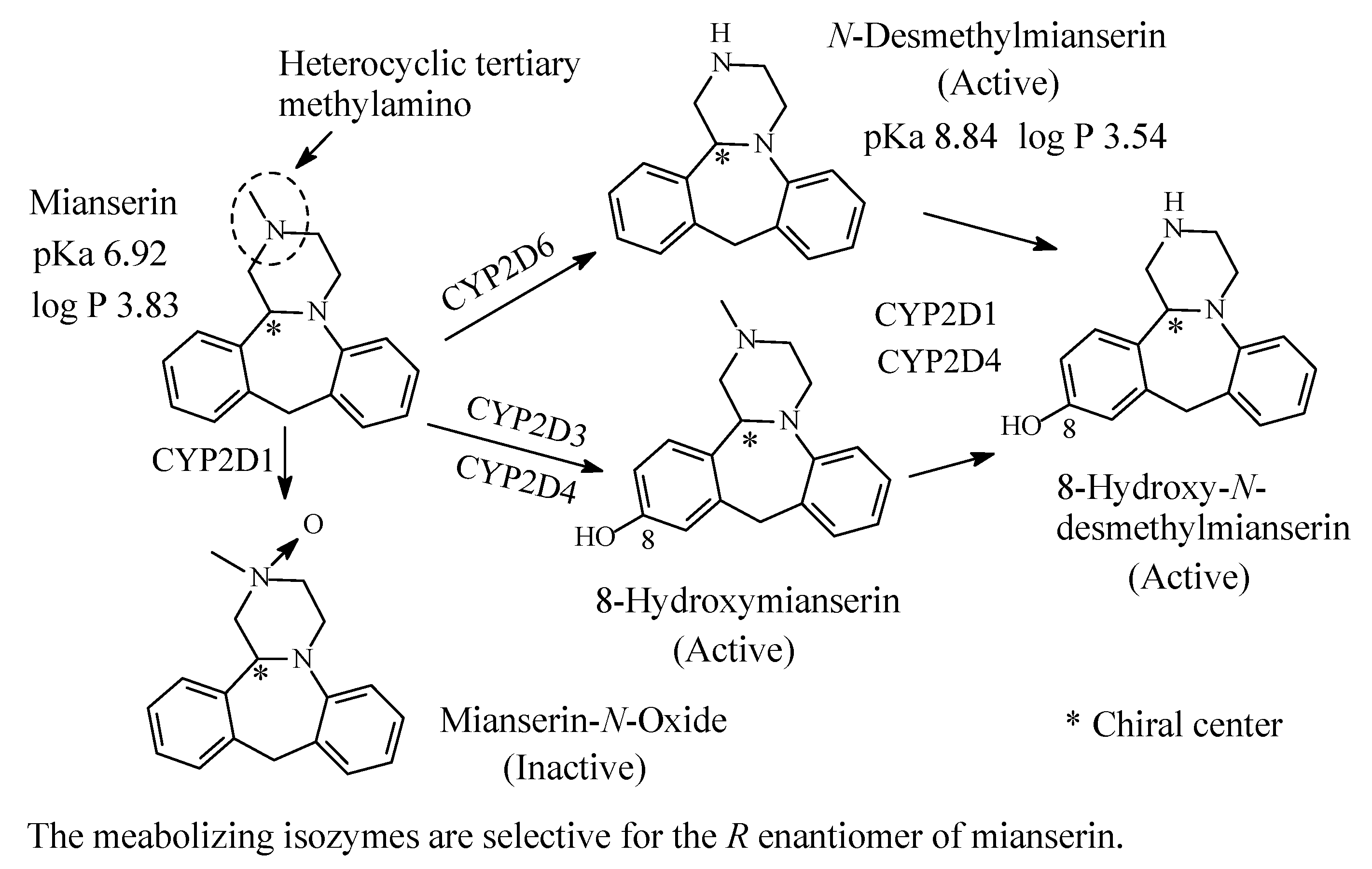 Molecules 26 01917 g016