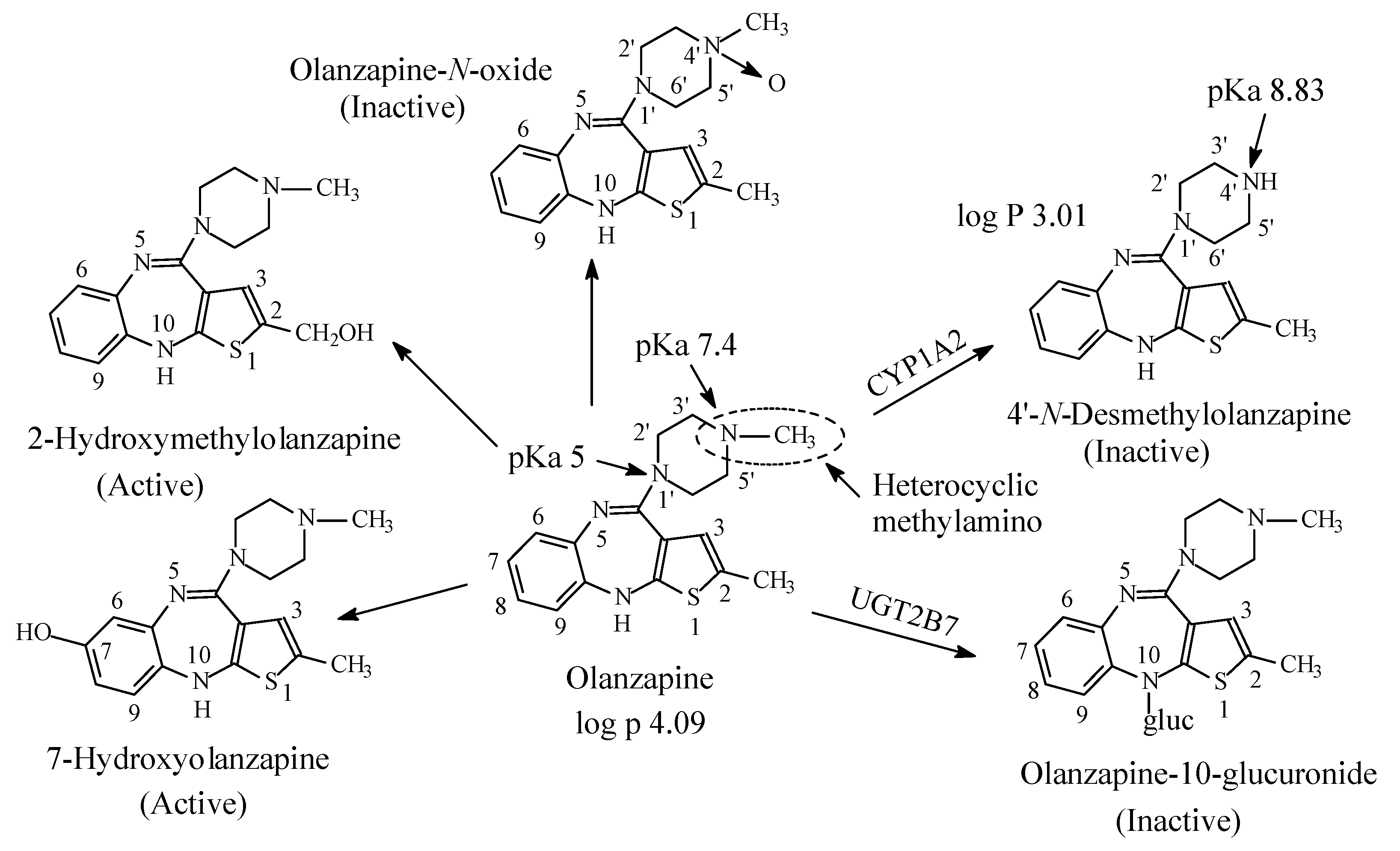 Molecules 26 01917 g018