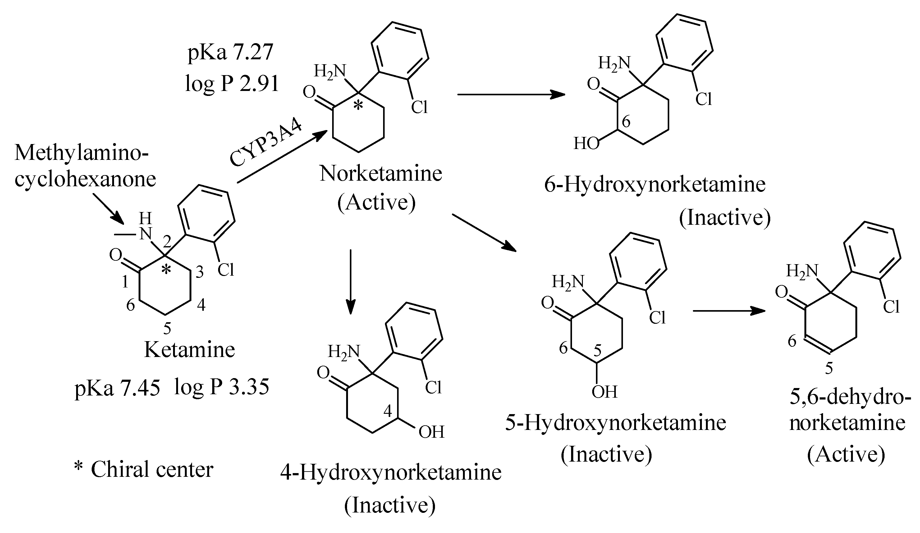 Molecules 26 01917 g019