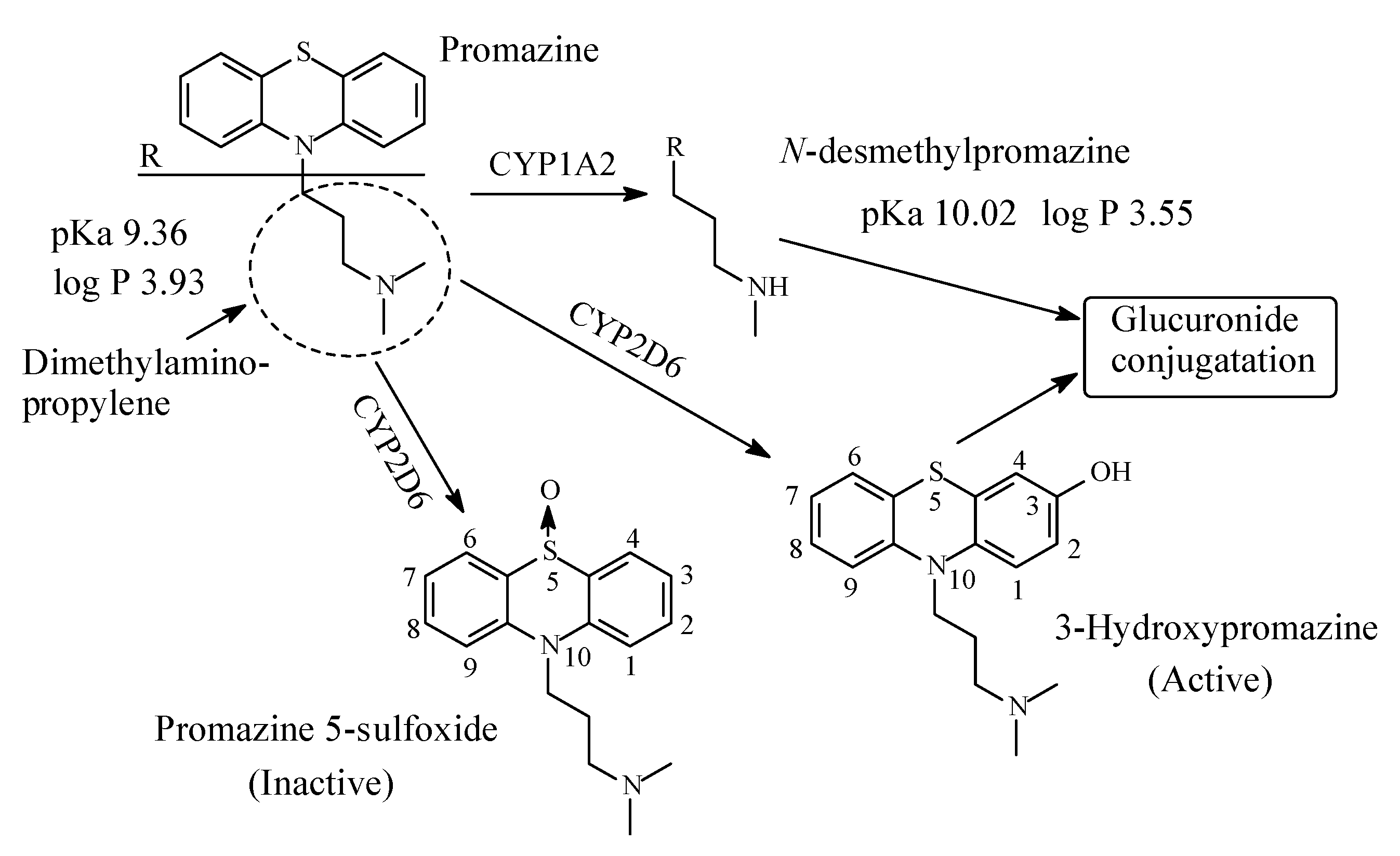 Molecules 26 01917 g021