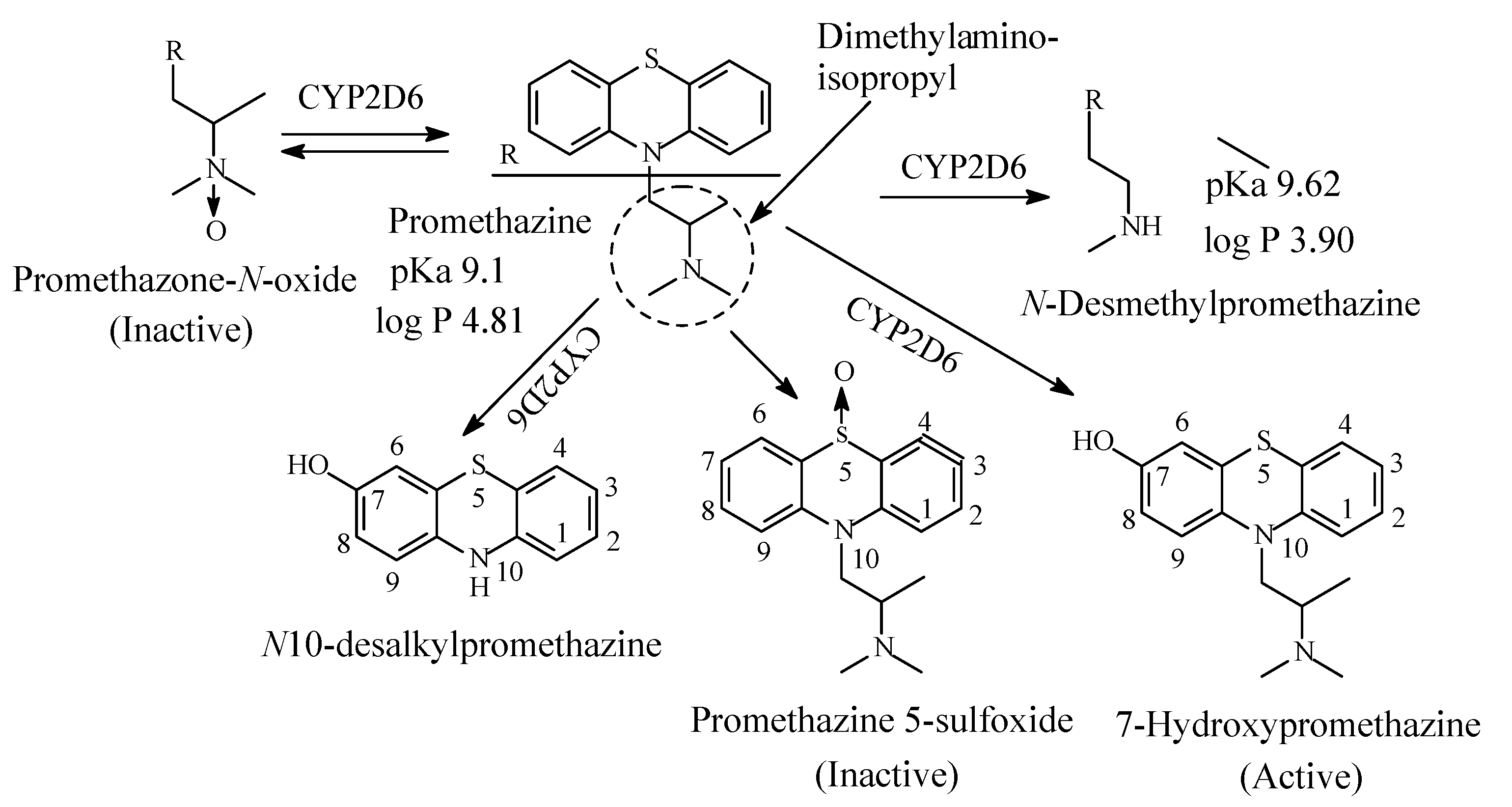 Molecules 26 01917 g024