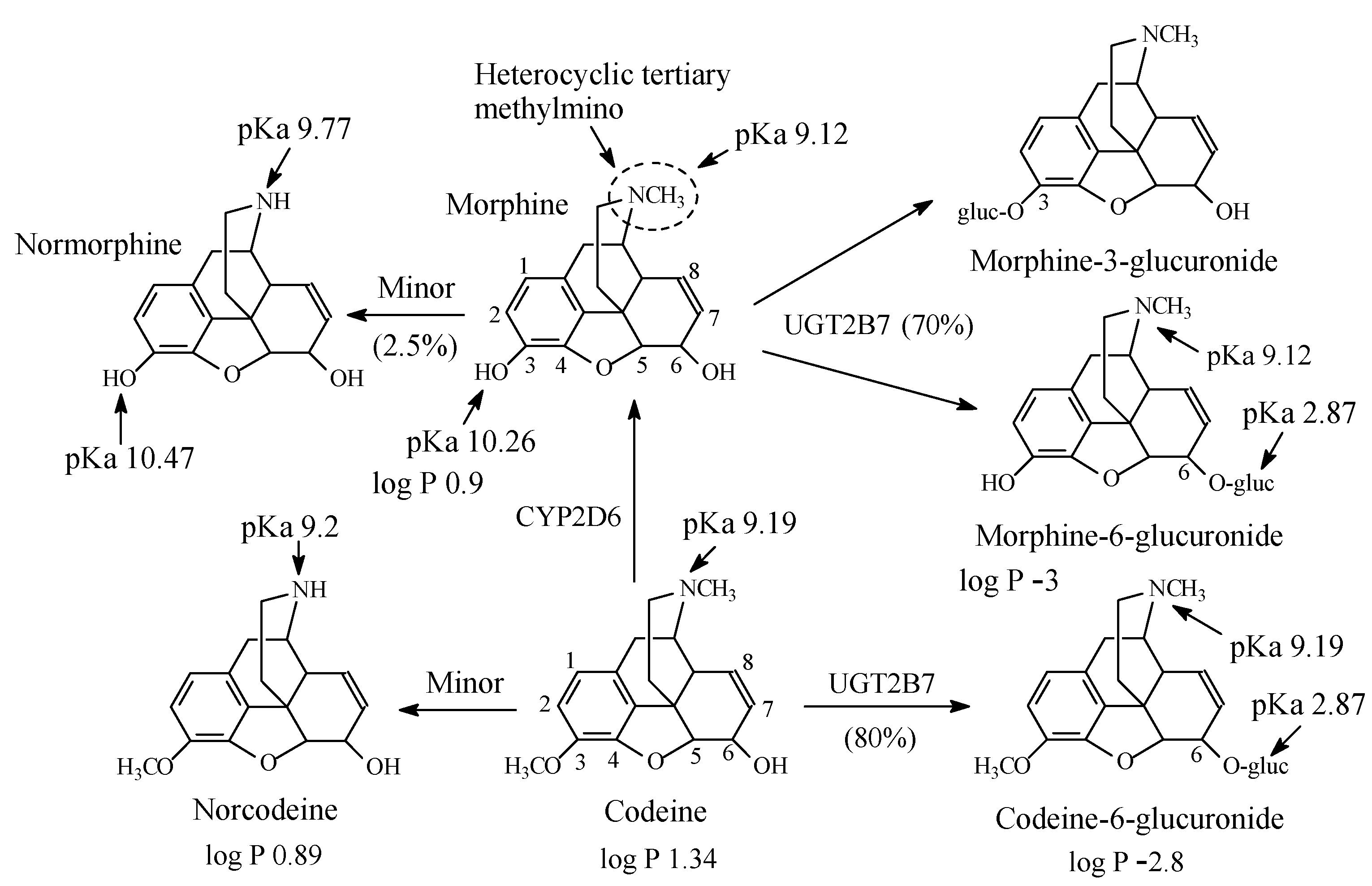 Molecules 26 01917 g025