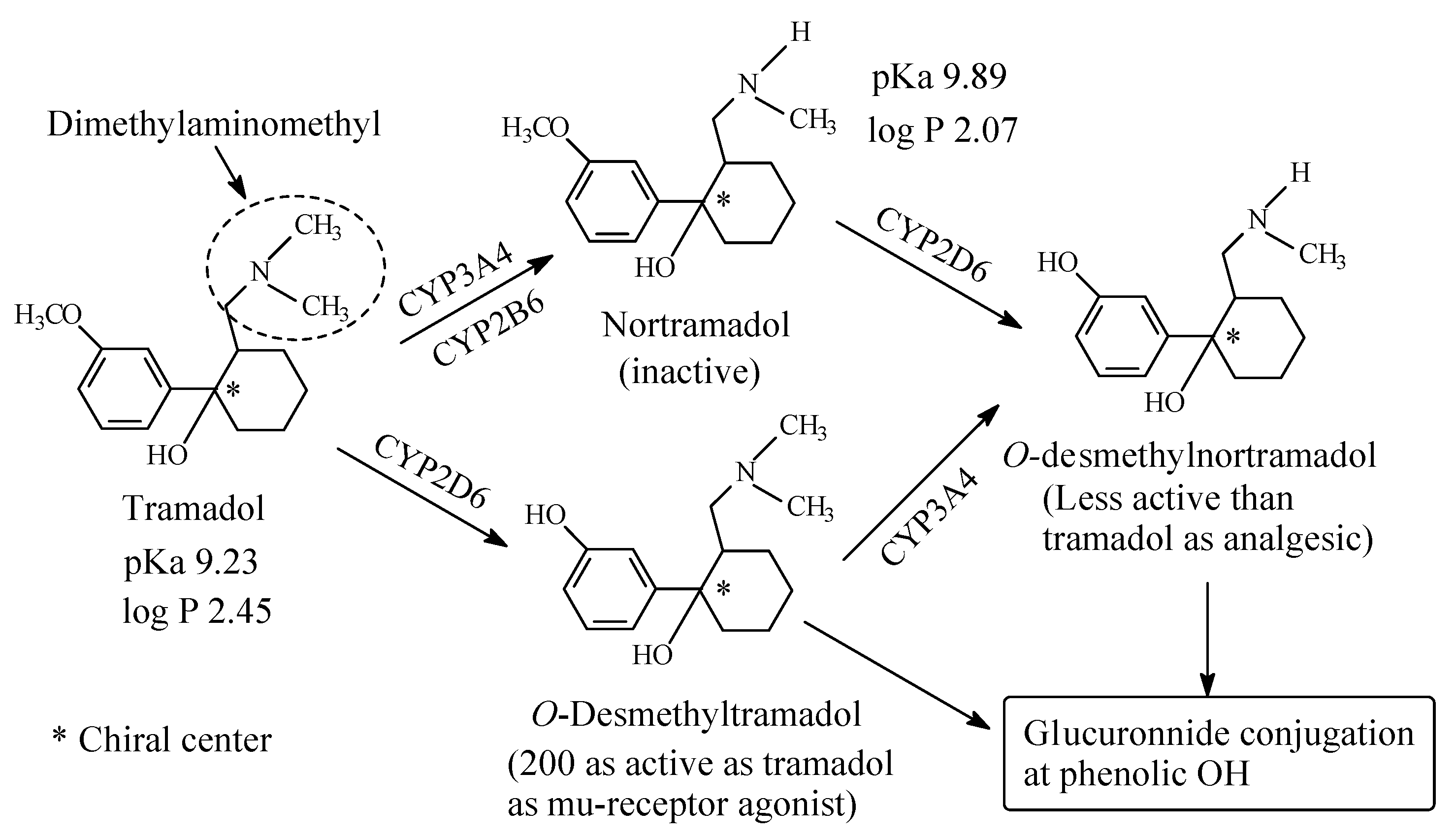 Molecules 26 01917 g026