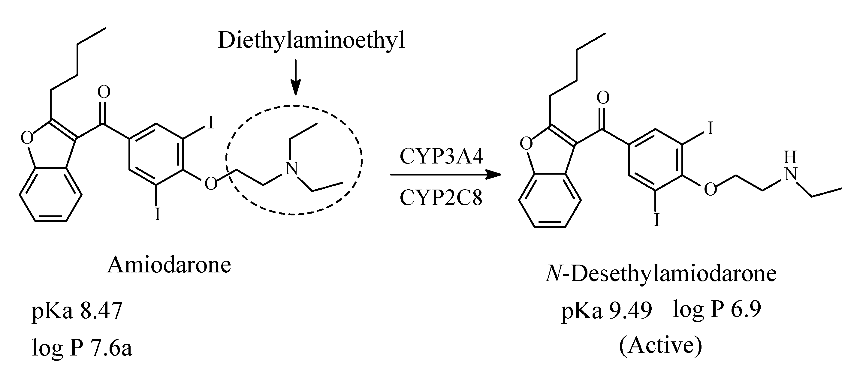 Molecules 26 01917 g031