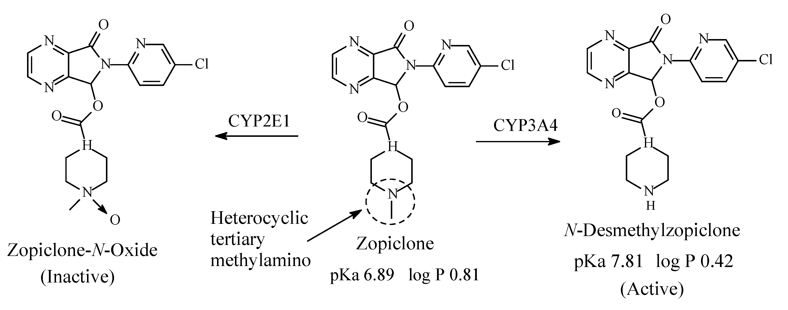 Molecules 26 01917 g033