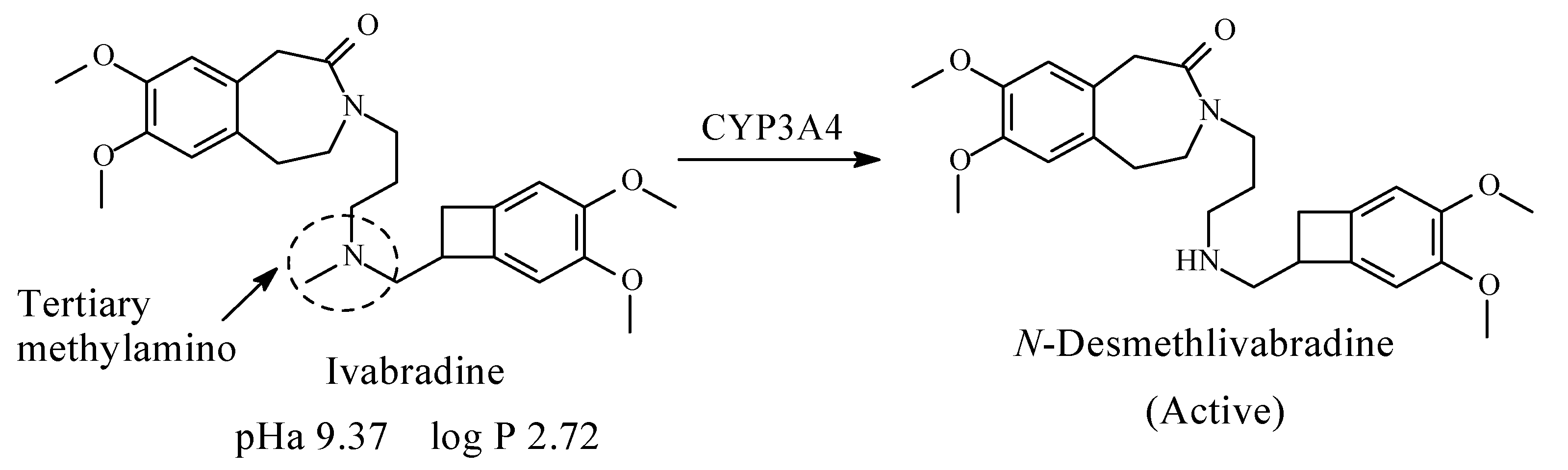 Molecules 26 01917 g036