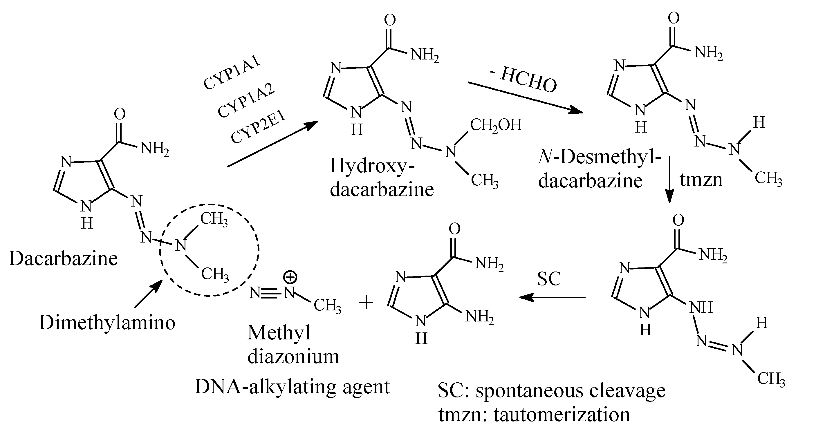 Molecules 26 01917 g041
