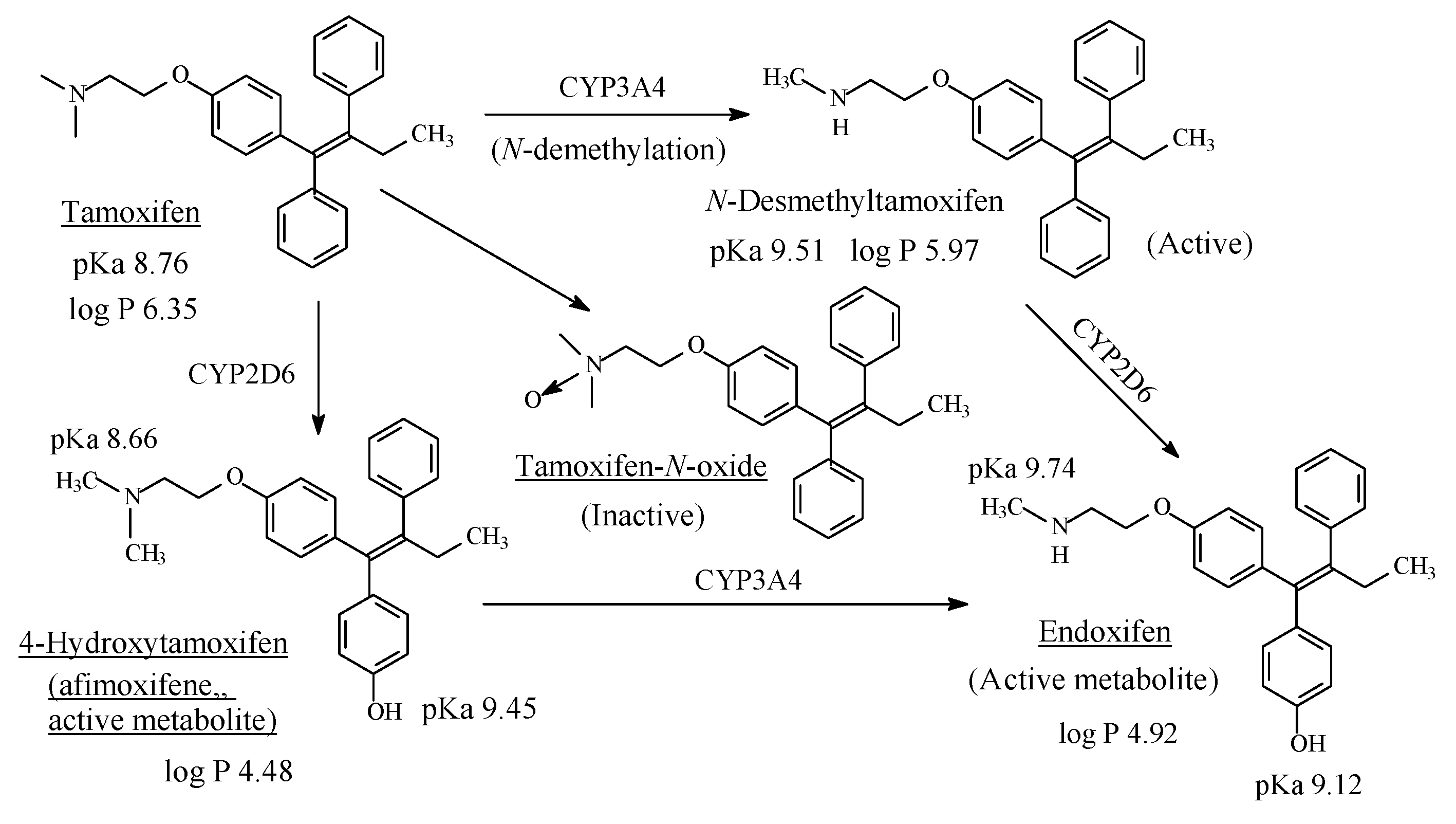 Molecules 26 01917 g042