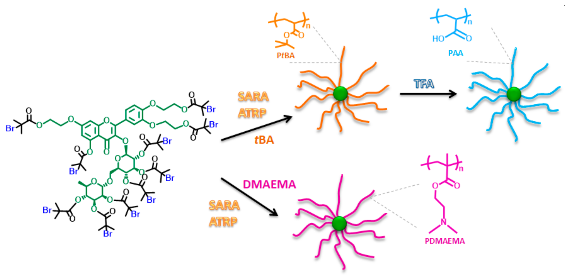 Molecules 26 01918 g001 Molecules 26 01918 g001