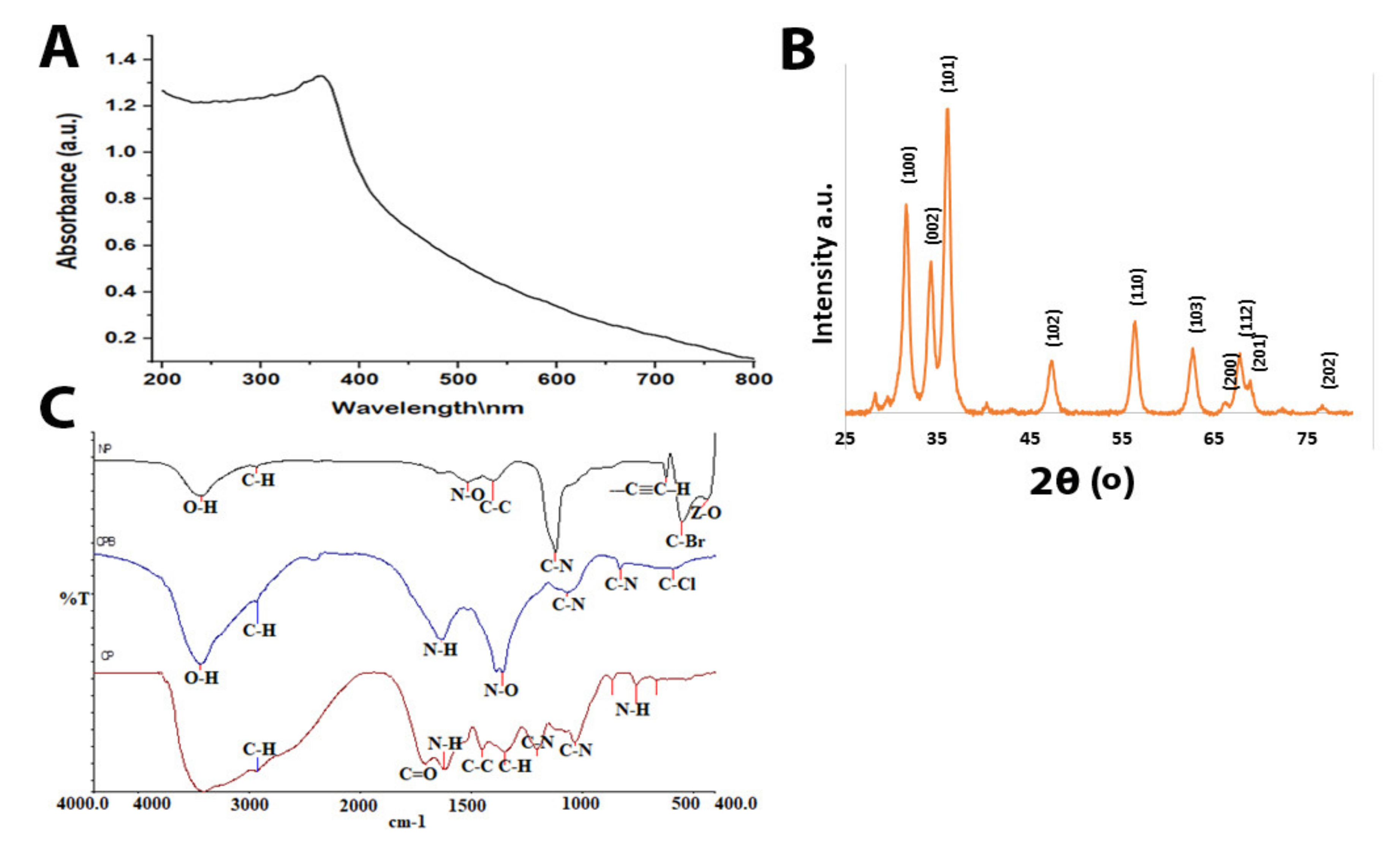 Molecules 26 01919 g001