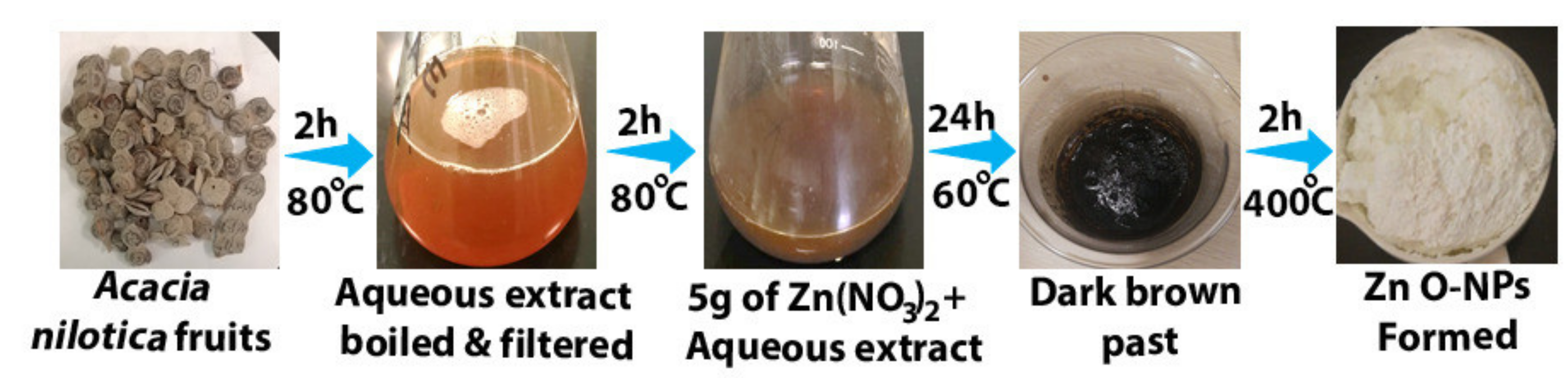 Molecules 26 01919 g010