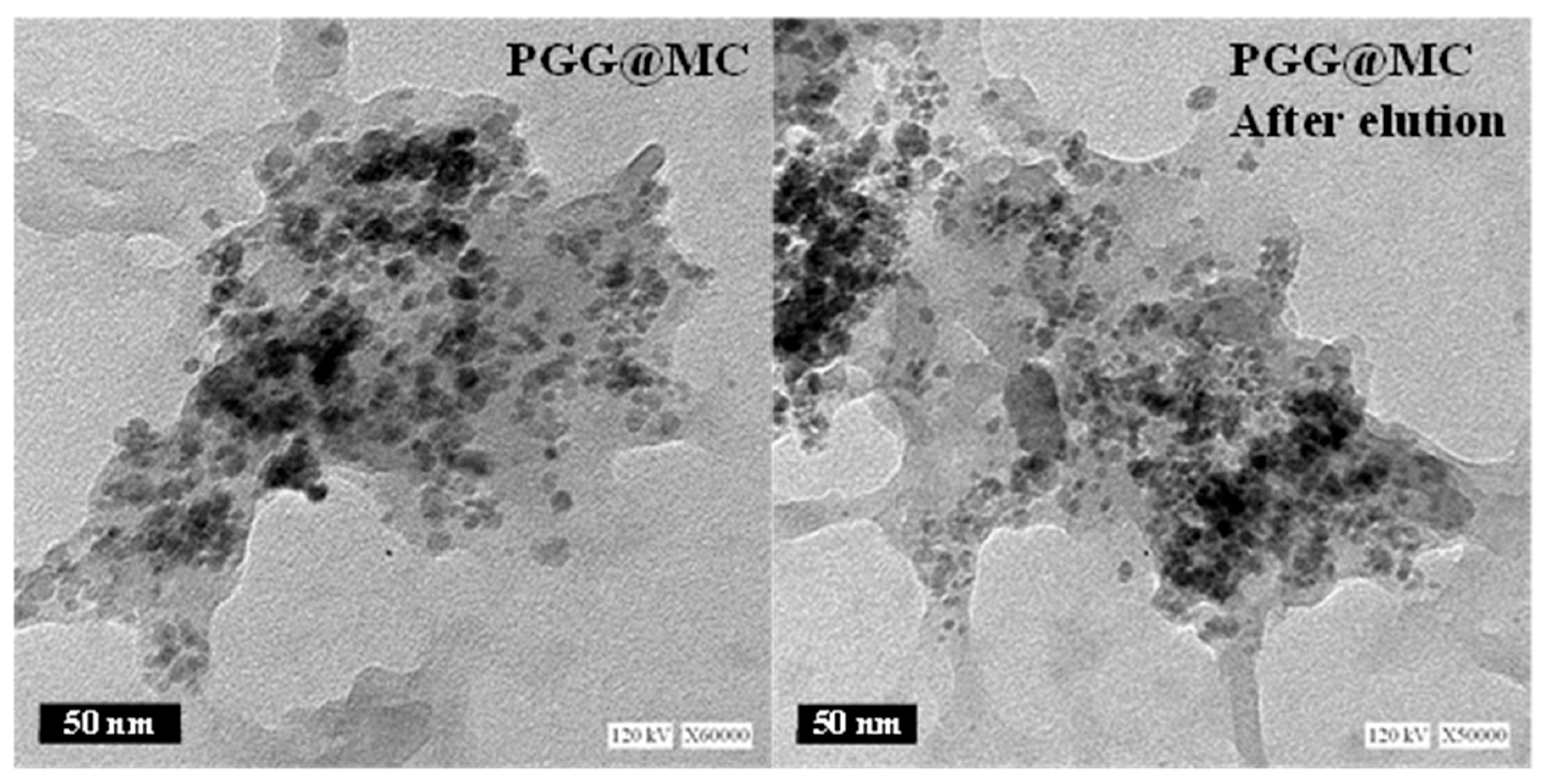 Molecules 26 01920 g001