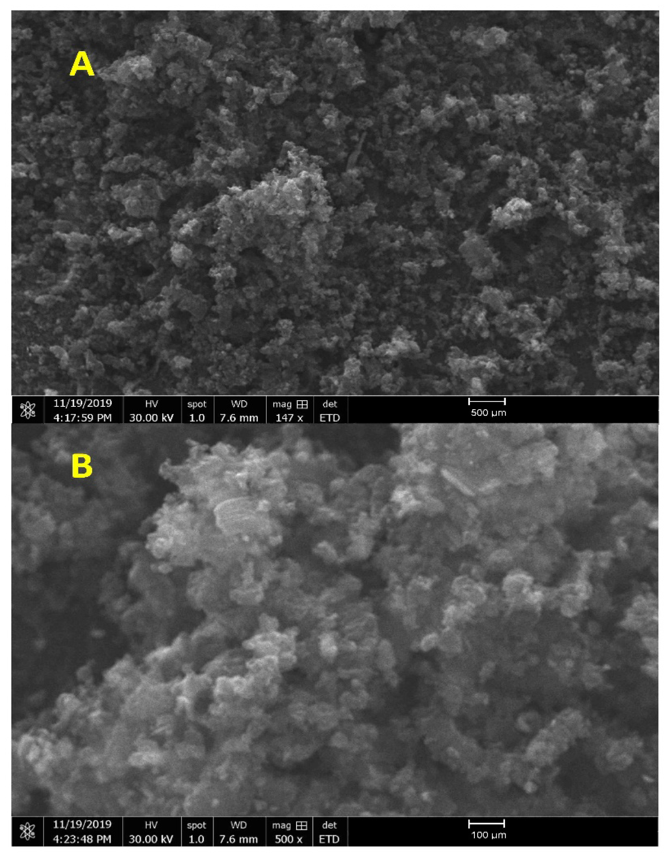 Molecules 26 01921 g004