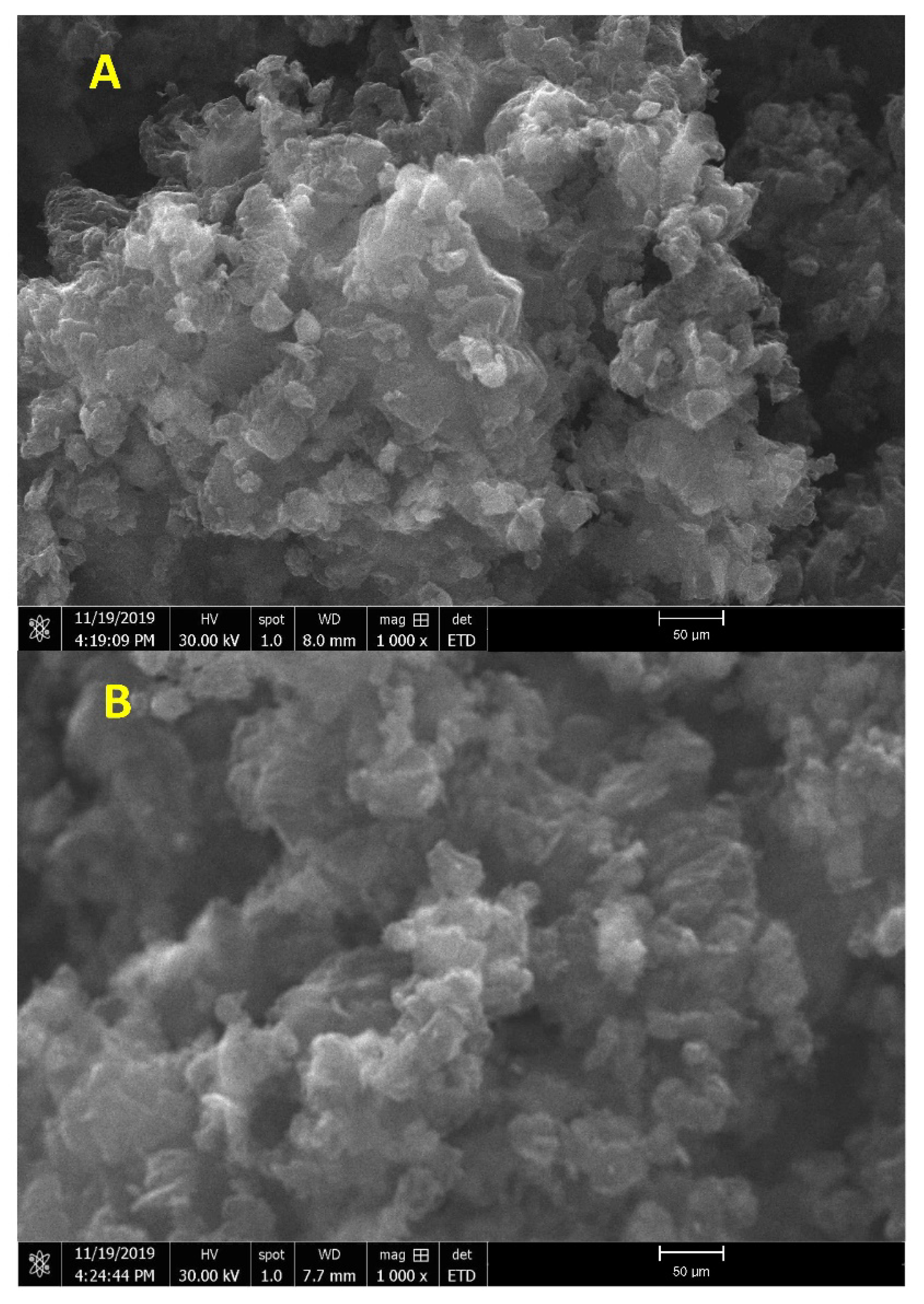 Molecules 26 01921 g005