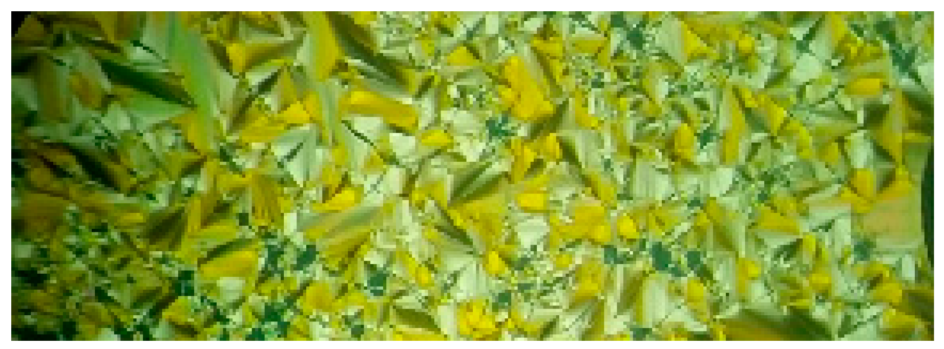 Molecules 26 01927 g002