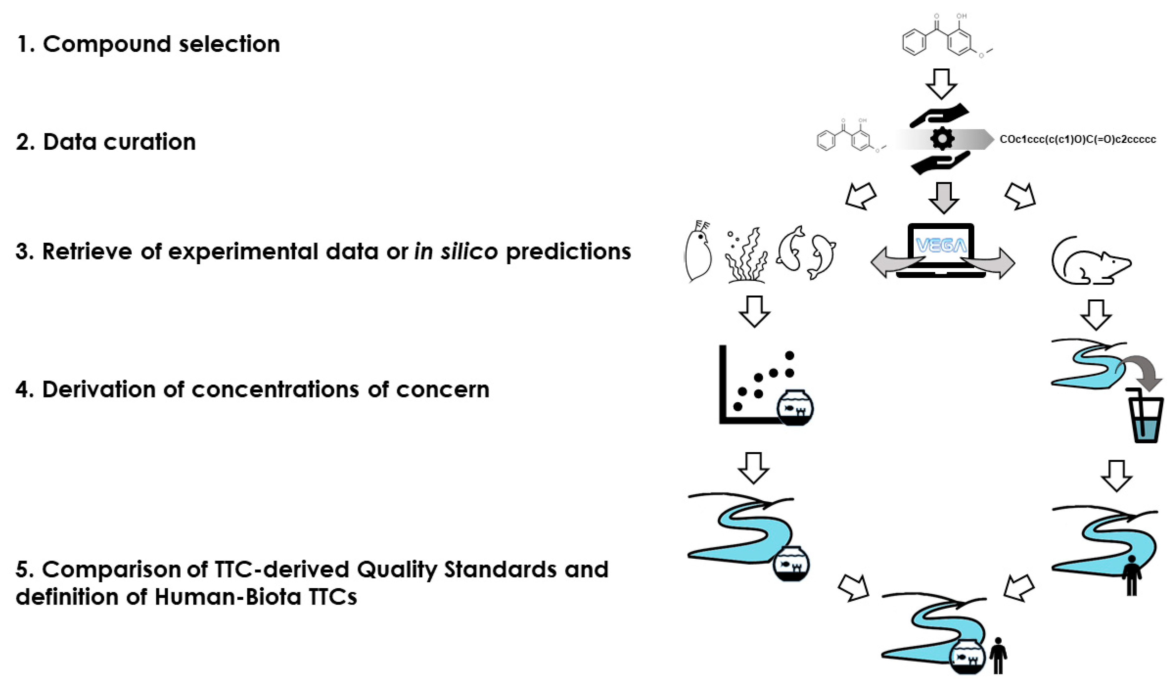 Molecules 26 01928 g004