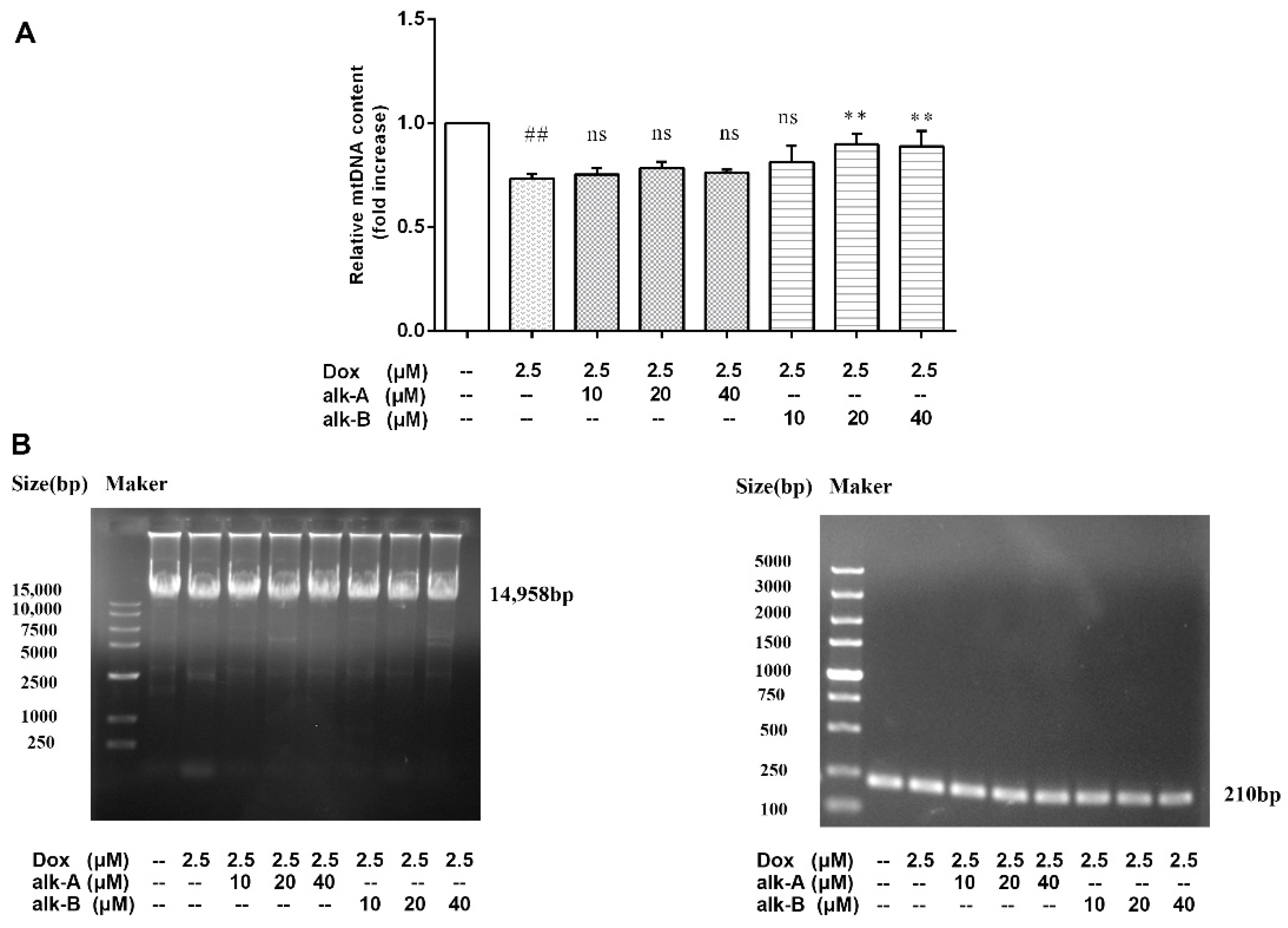 Molecules 26 01946 g008