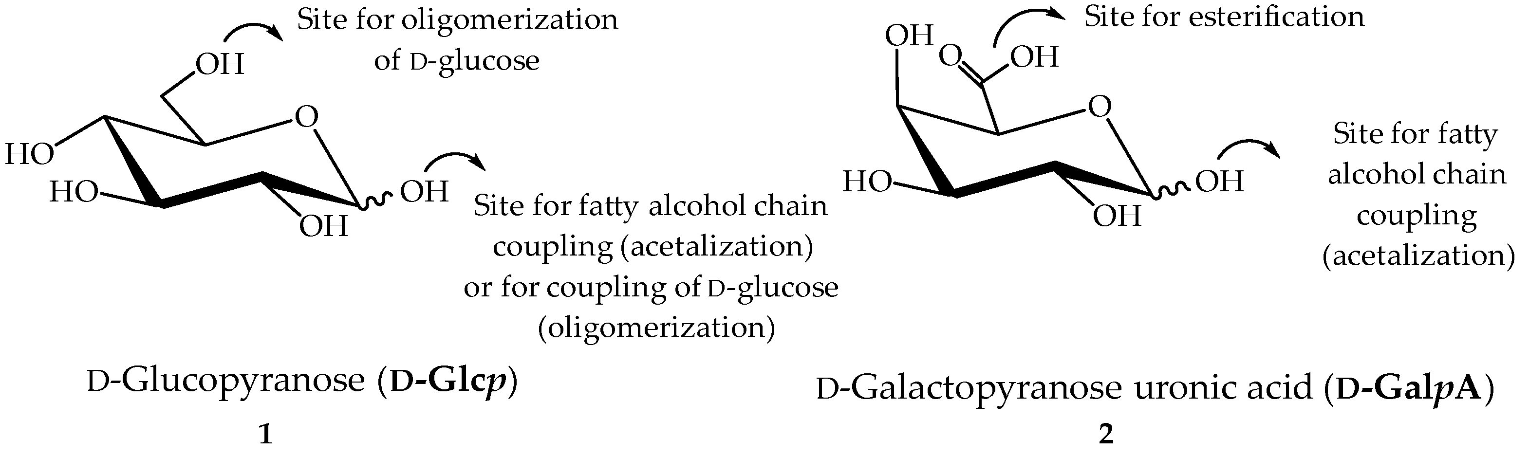 Molecules 26 01956 g001
