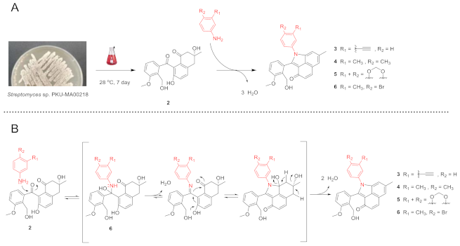 Molecules 26 01959 sch001