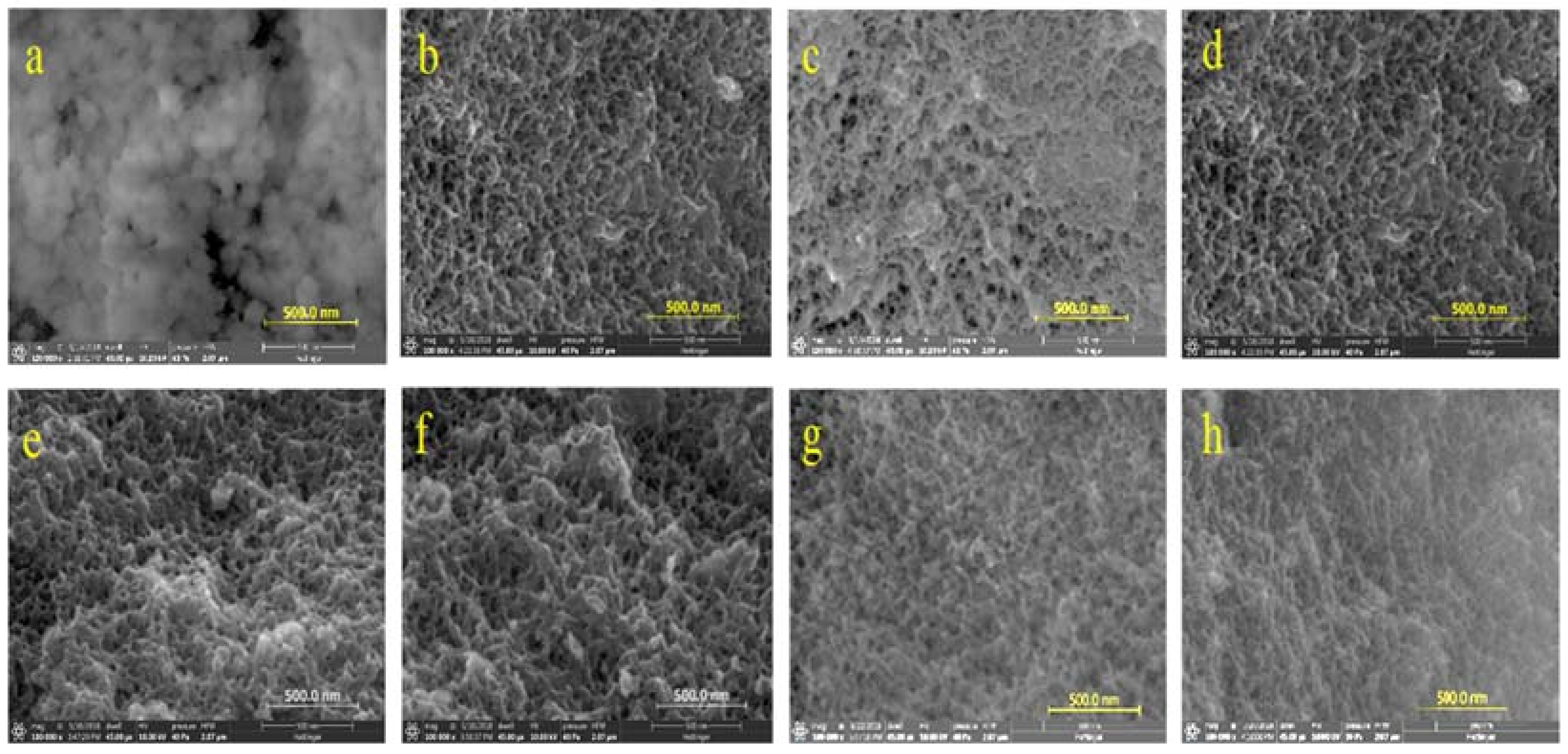 Molecules 26 01962 g003