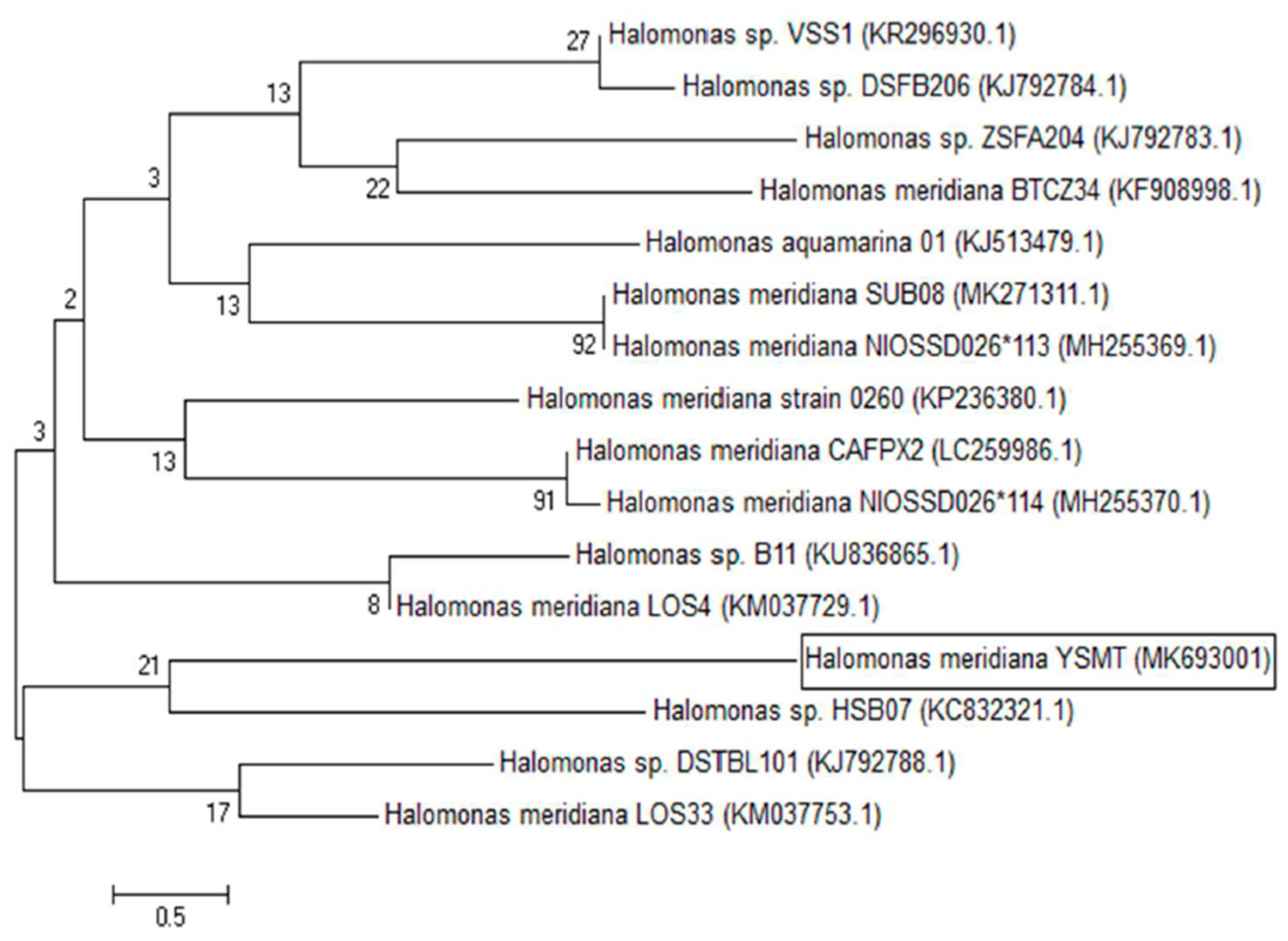 Molecules 26 01963 g002