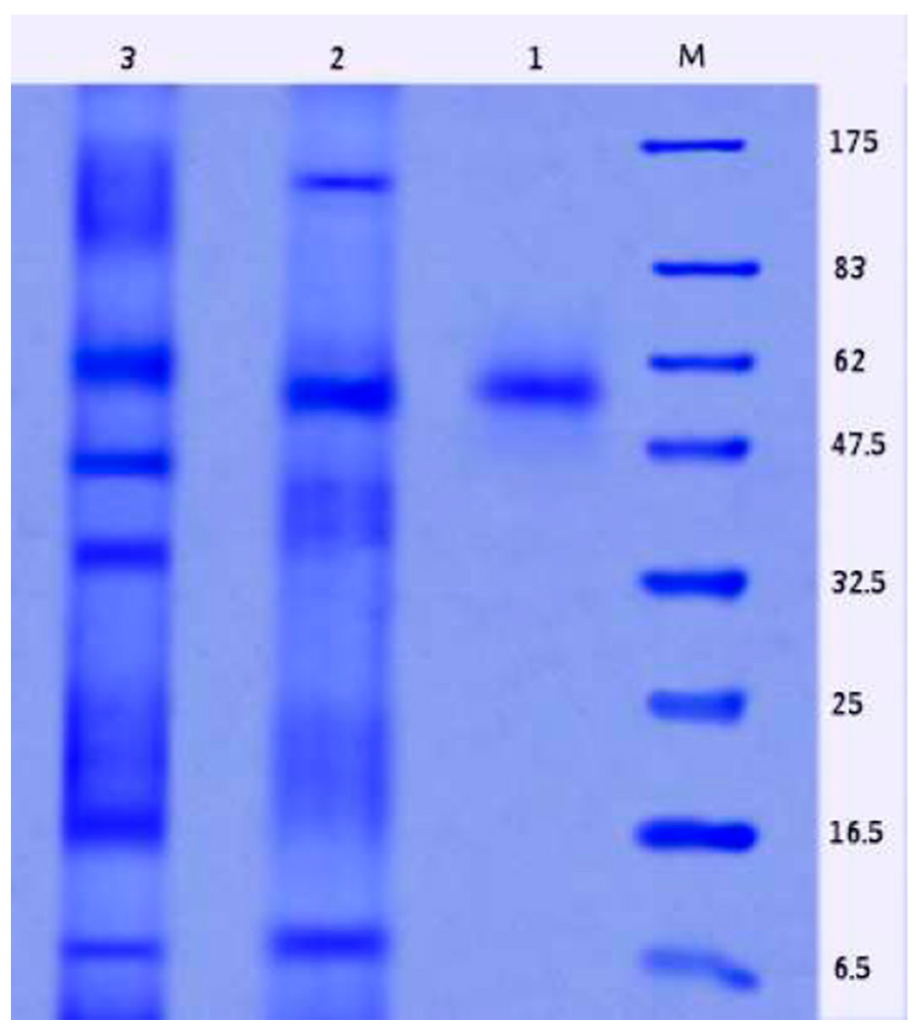 Molecules 26 01963 g008