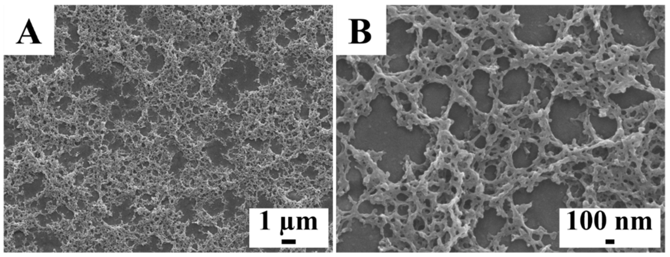 Molecules 26 01974 g002