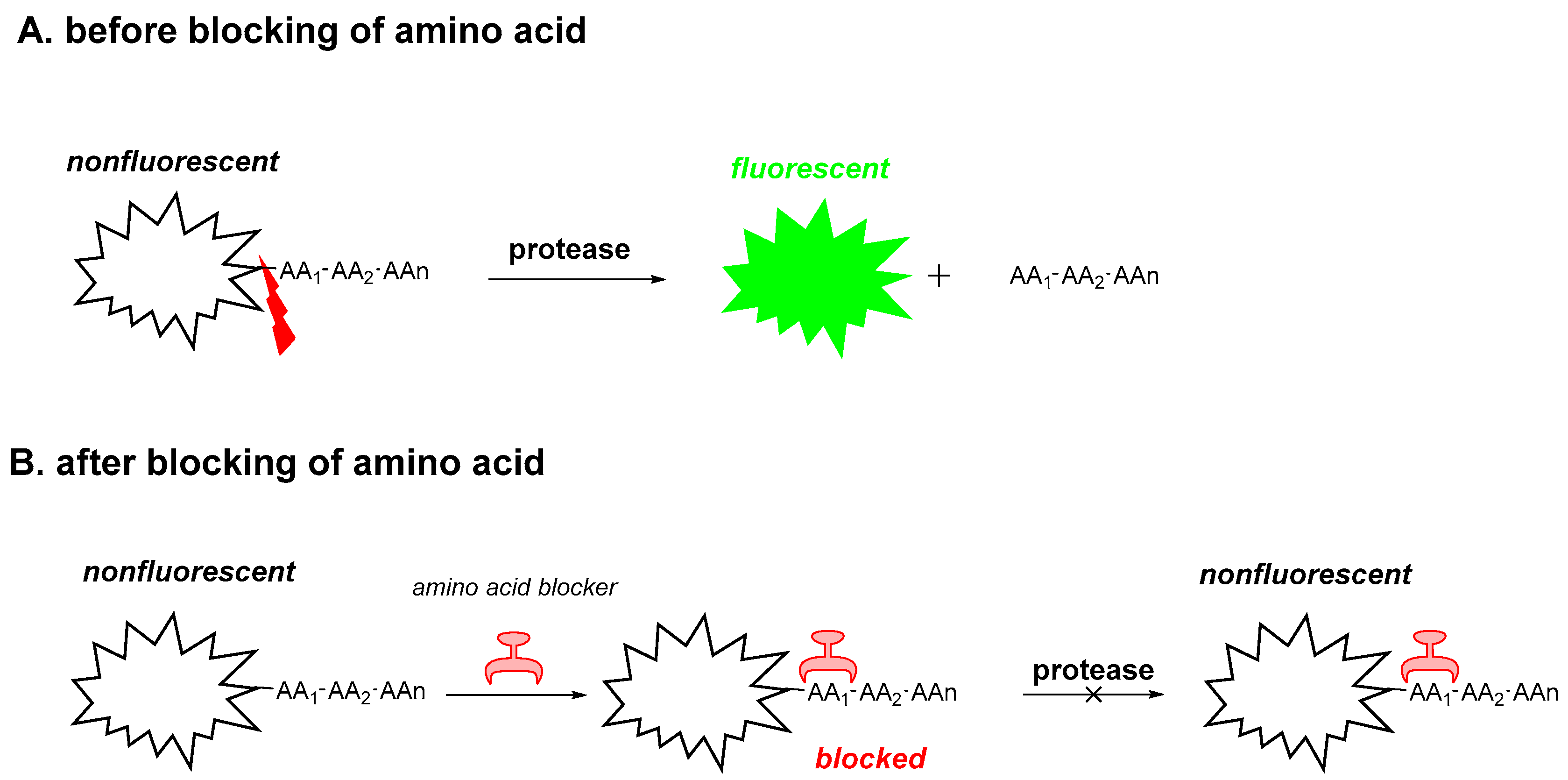 Molecules 26 01975 g001