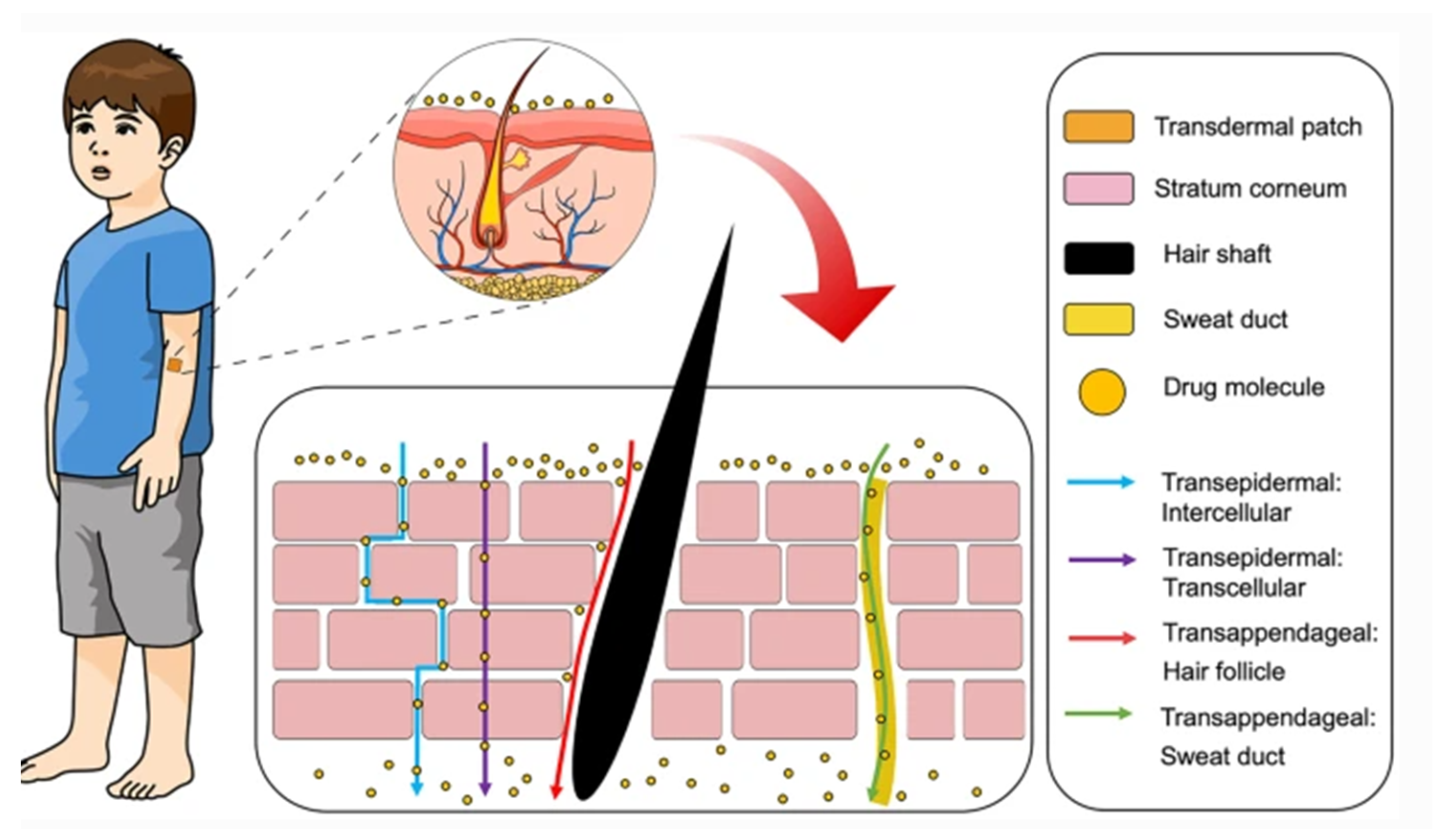 Molecules 26 01979 g002