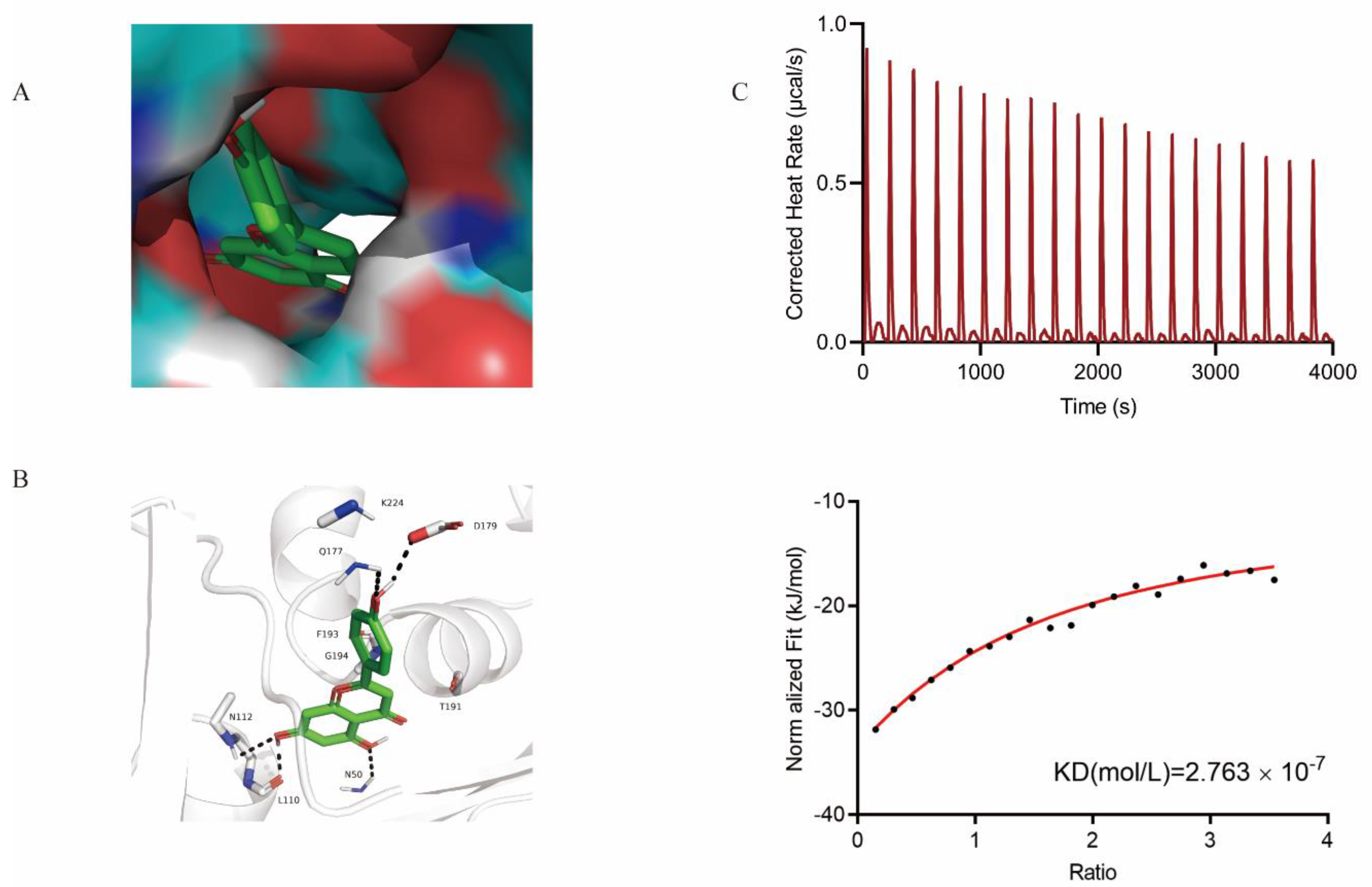 Molecules 26 01980 g004