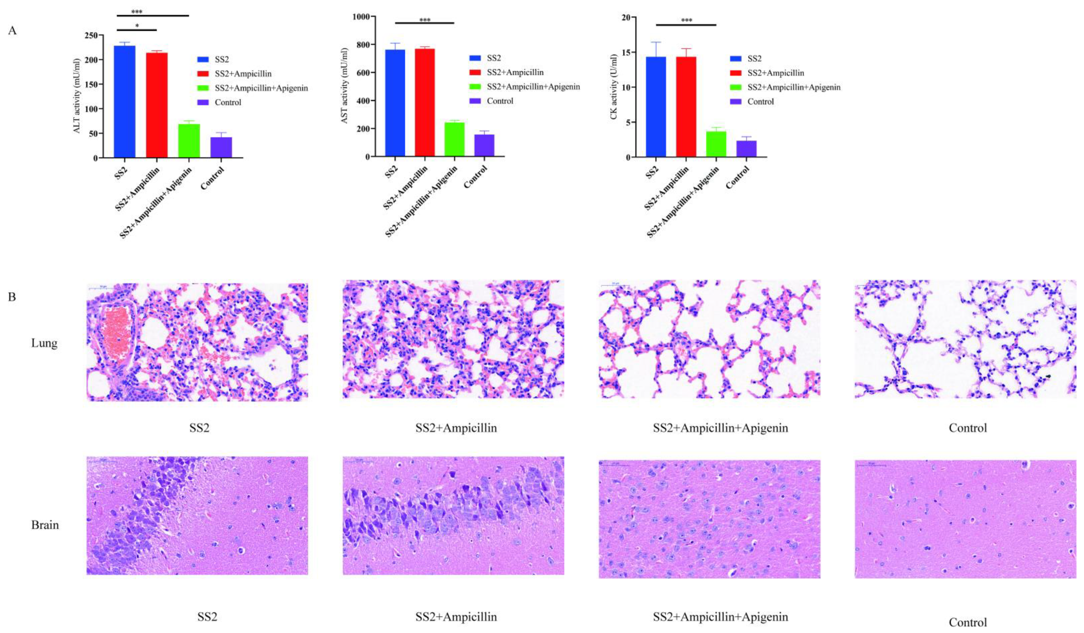 Molecules 26 01980 g006