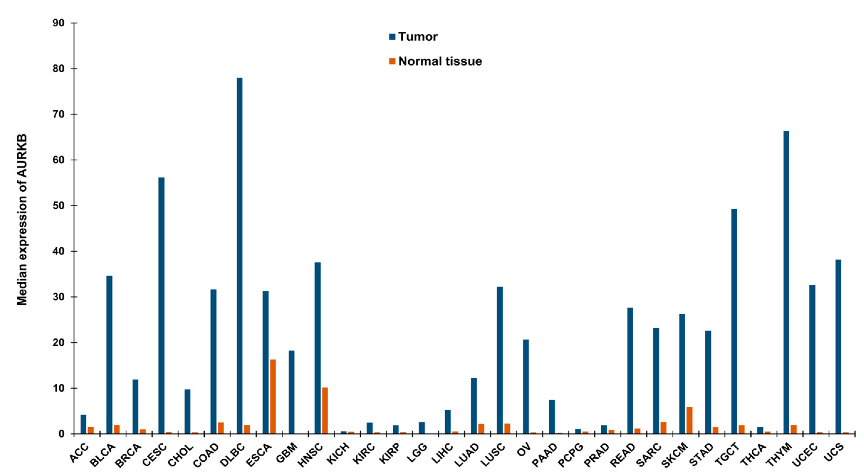 Molecules 26 01981 g002