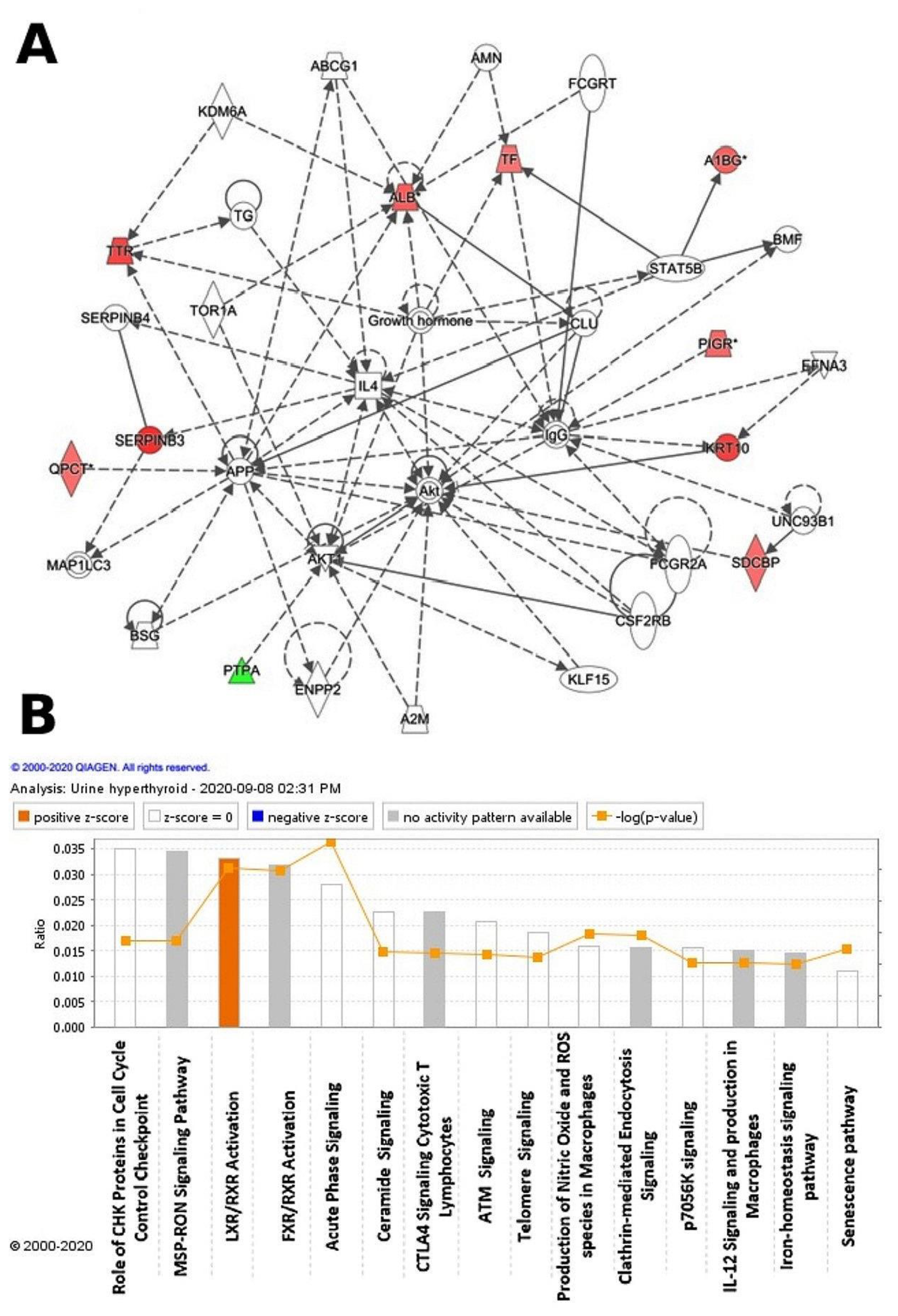 Molecules 26 01991 g004