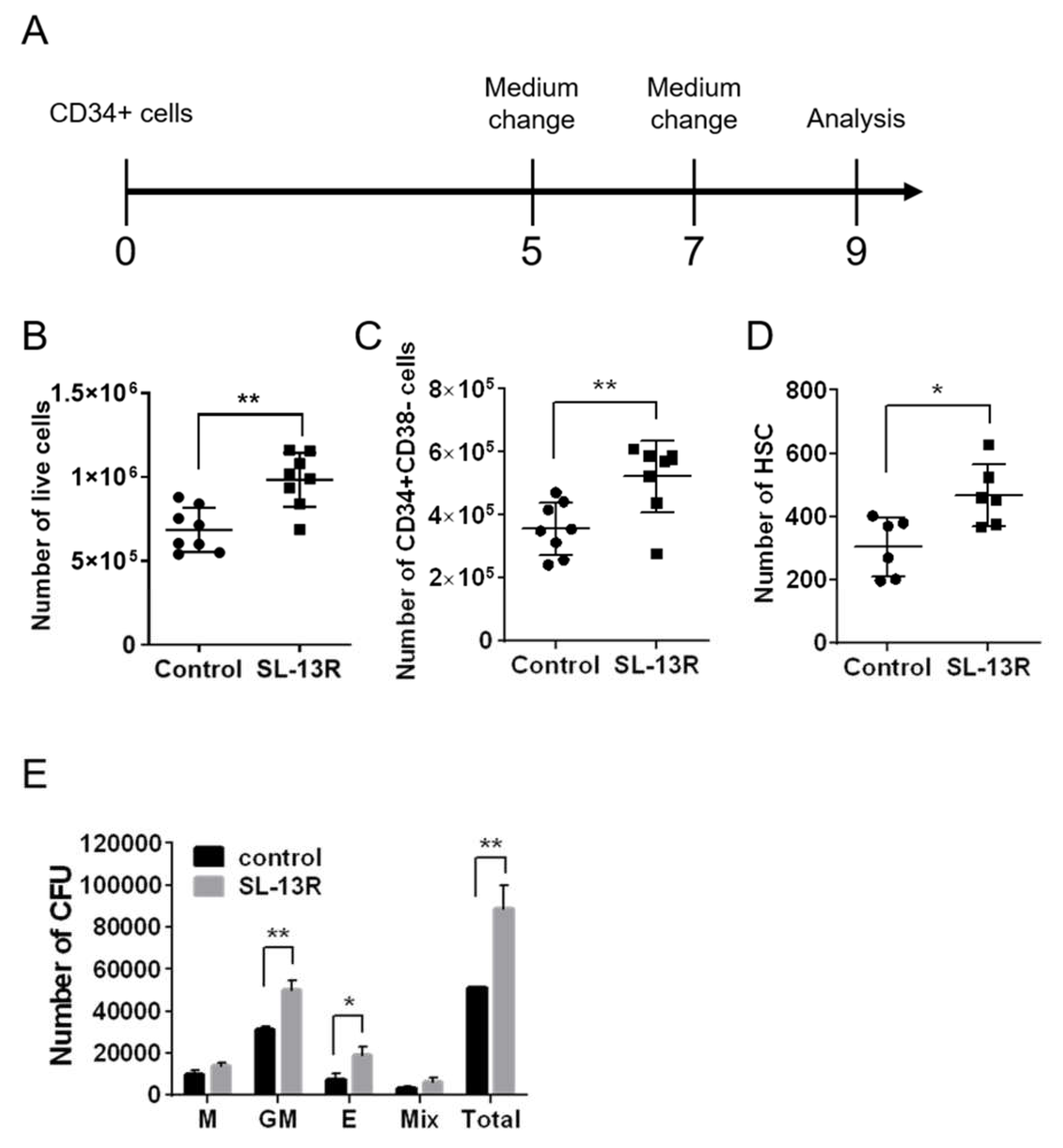 Molecules 26 01995 g001