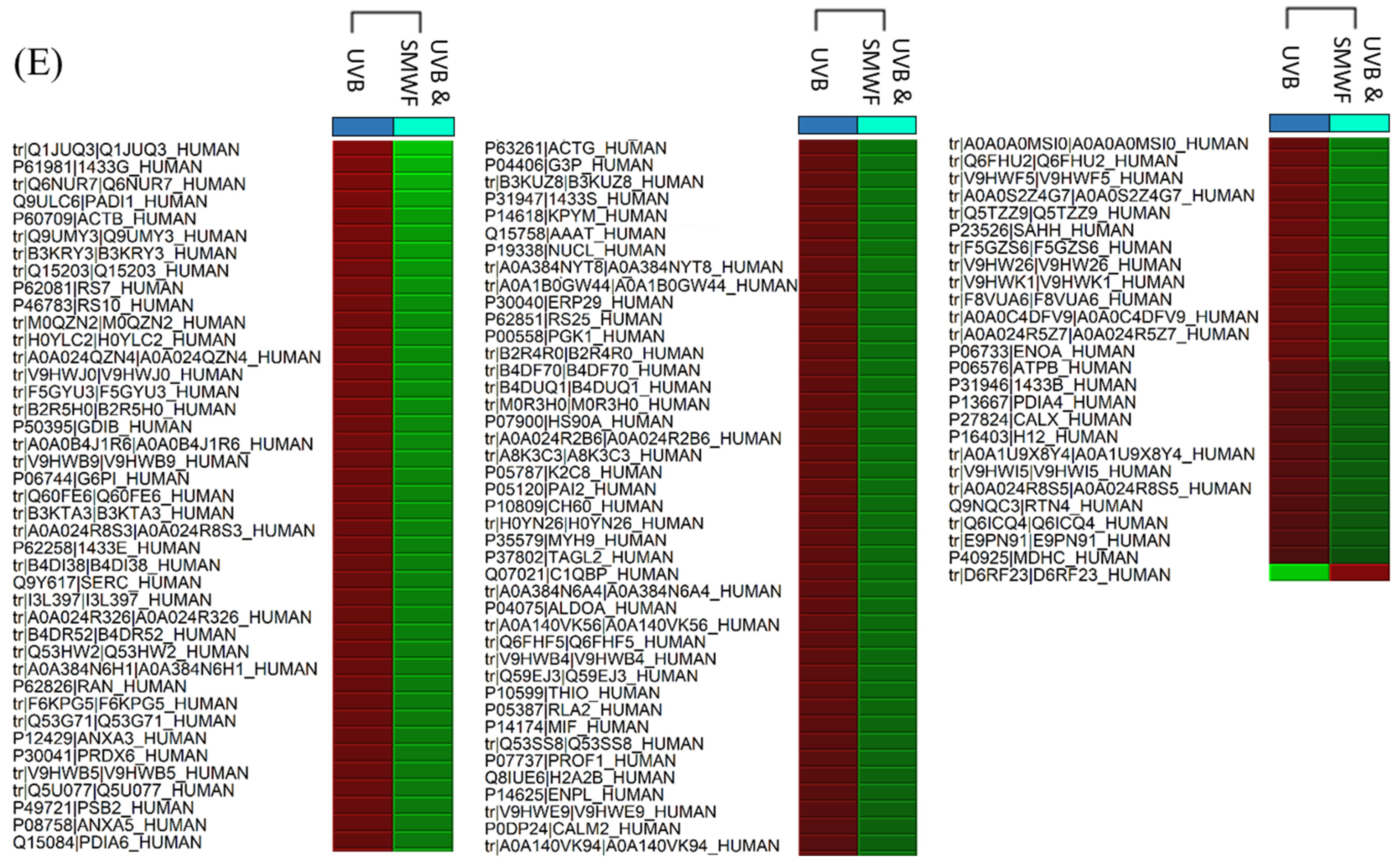 Molecules 26 02000 g001c