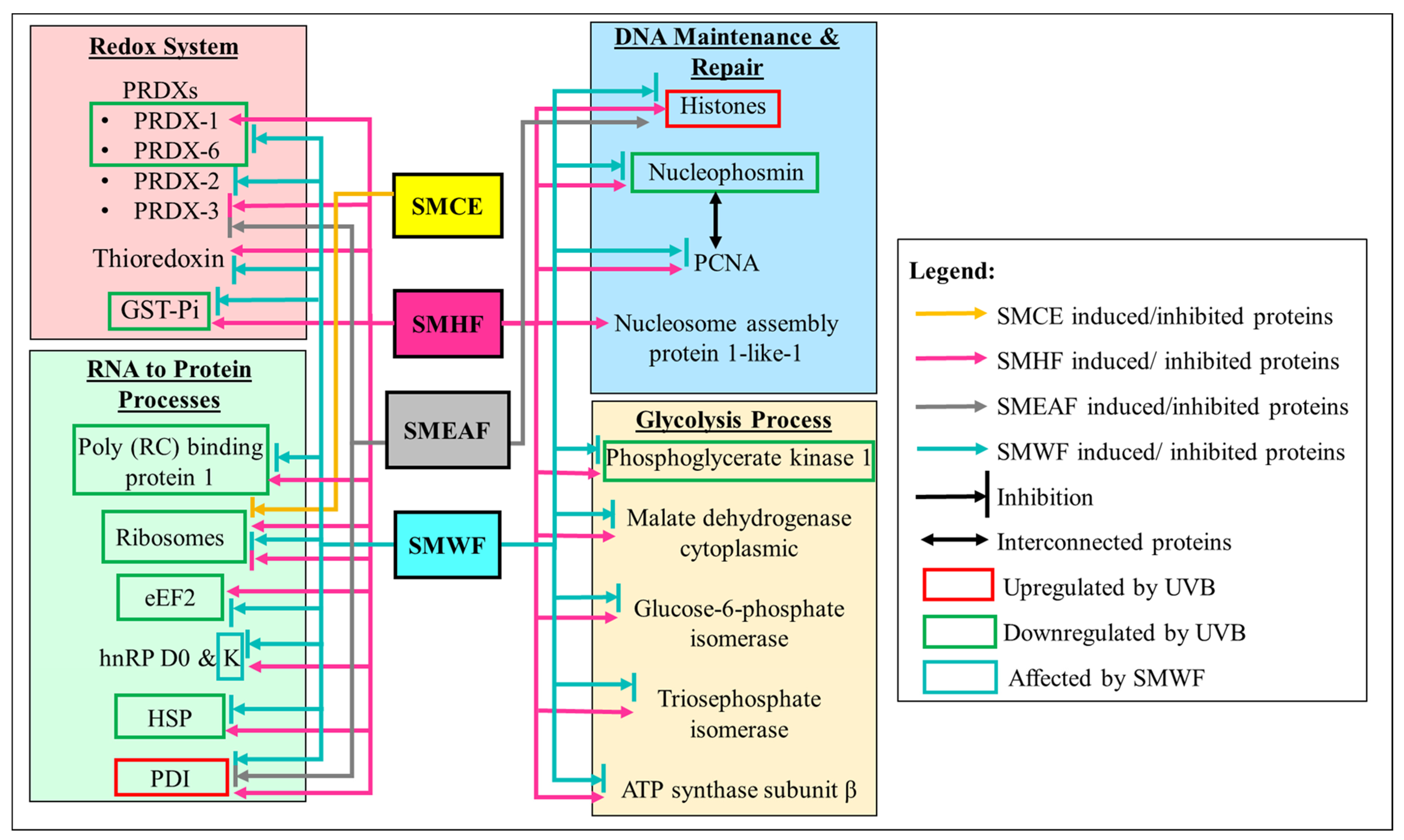 Molecules 26 02000 g002