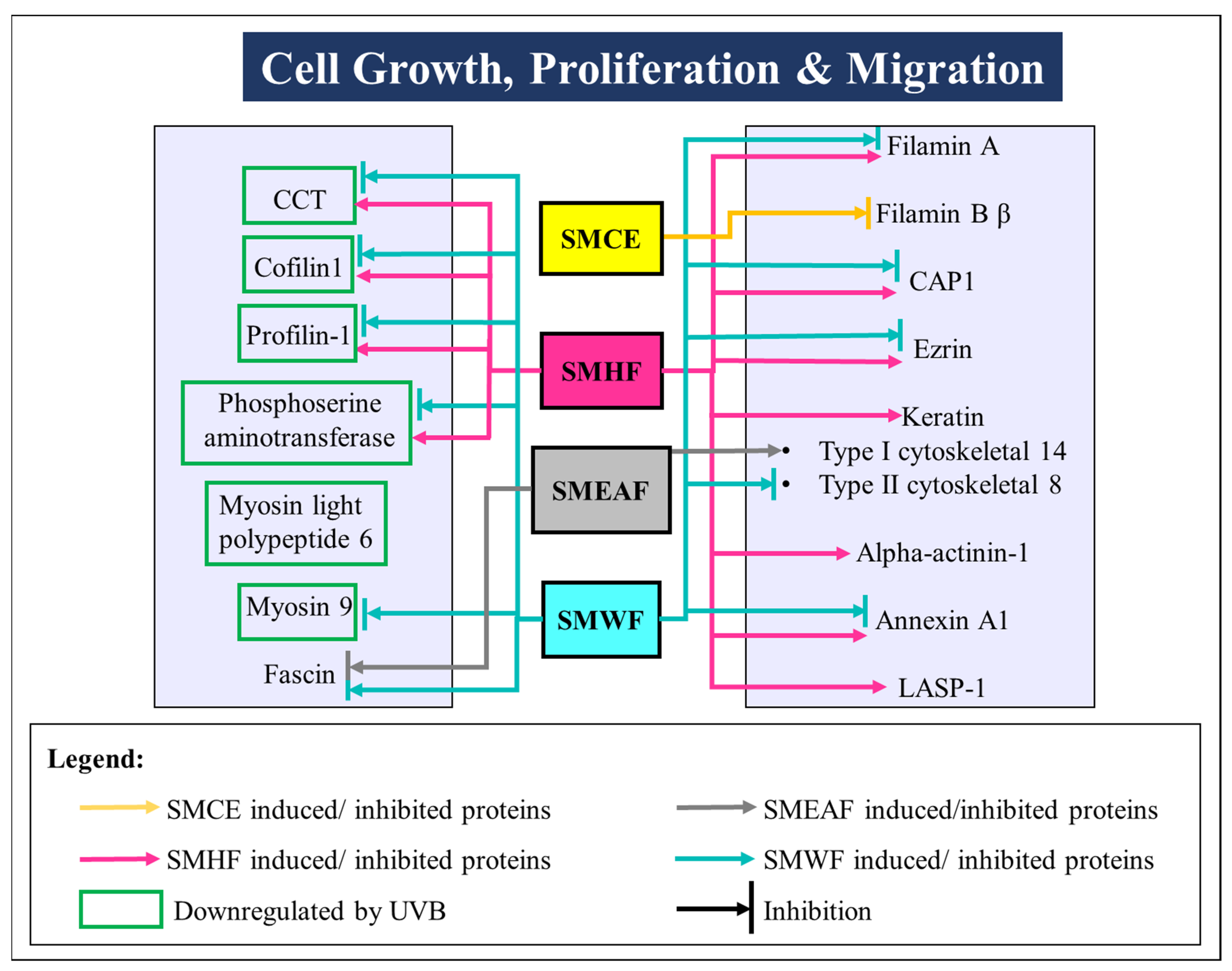 Molecules 26 02000 g003