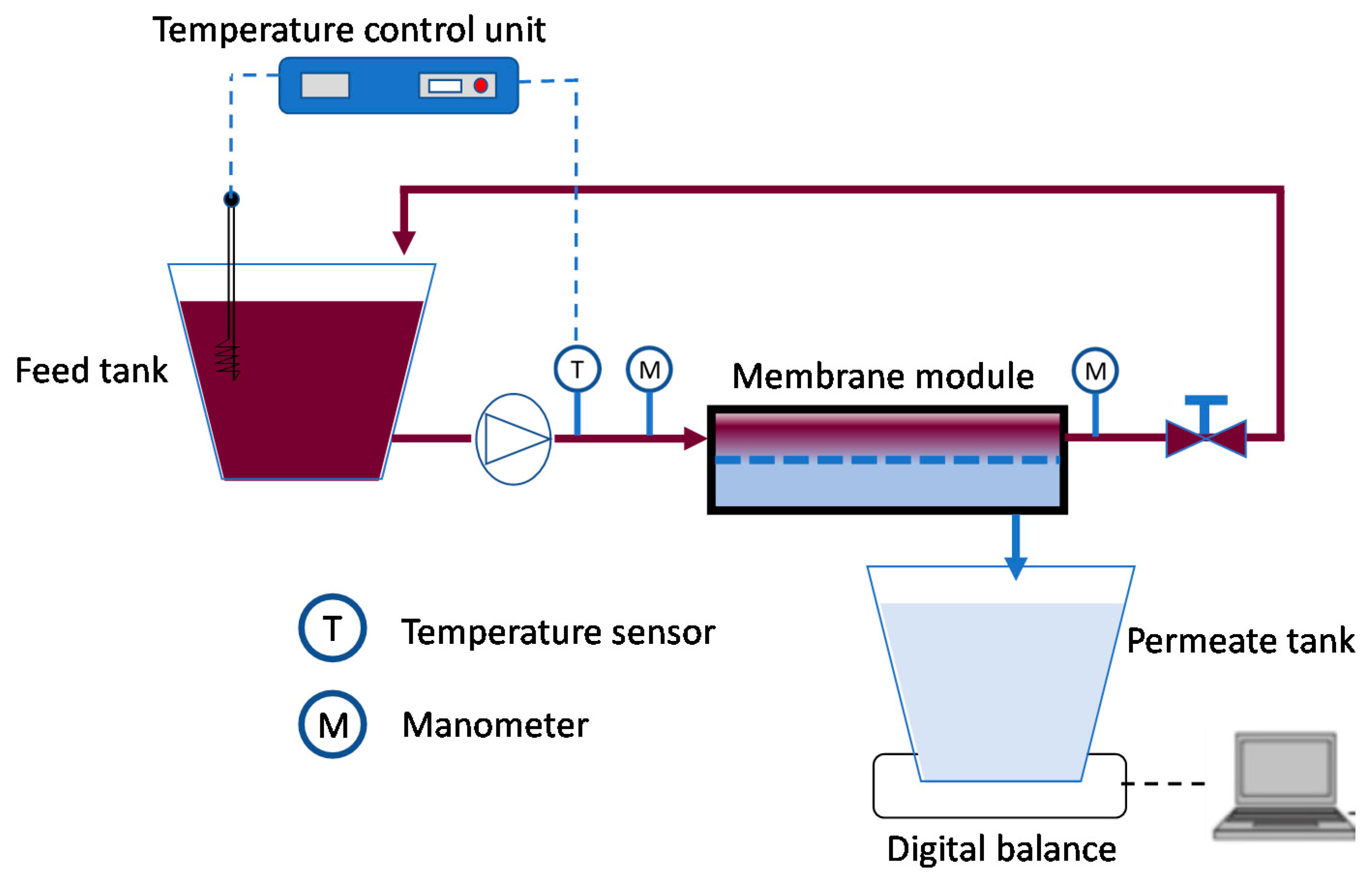 Molecules 26 02003 g003