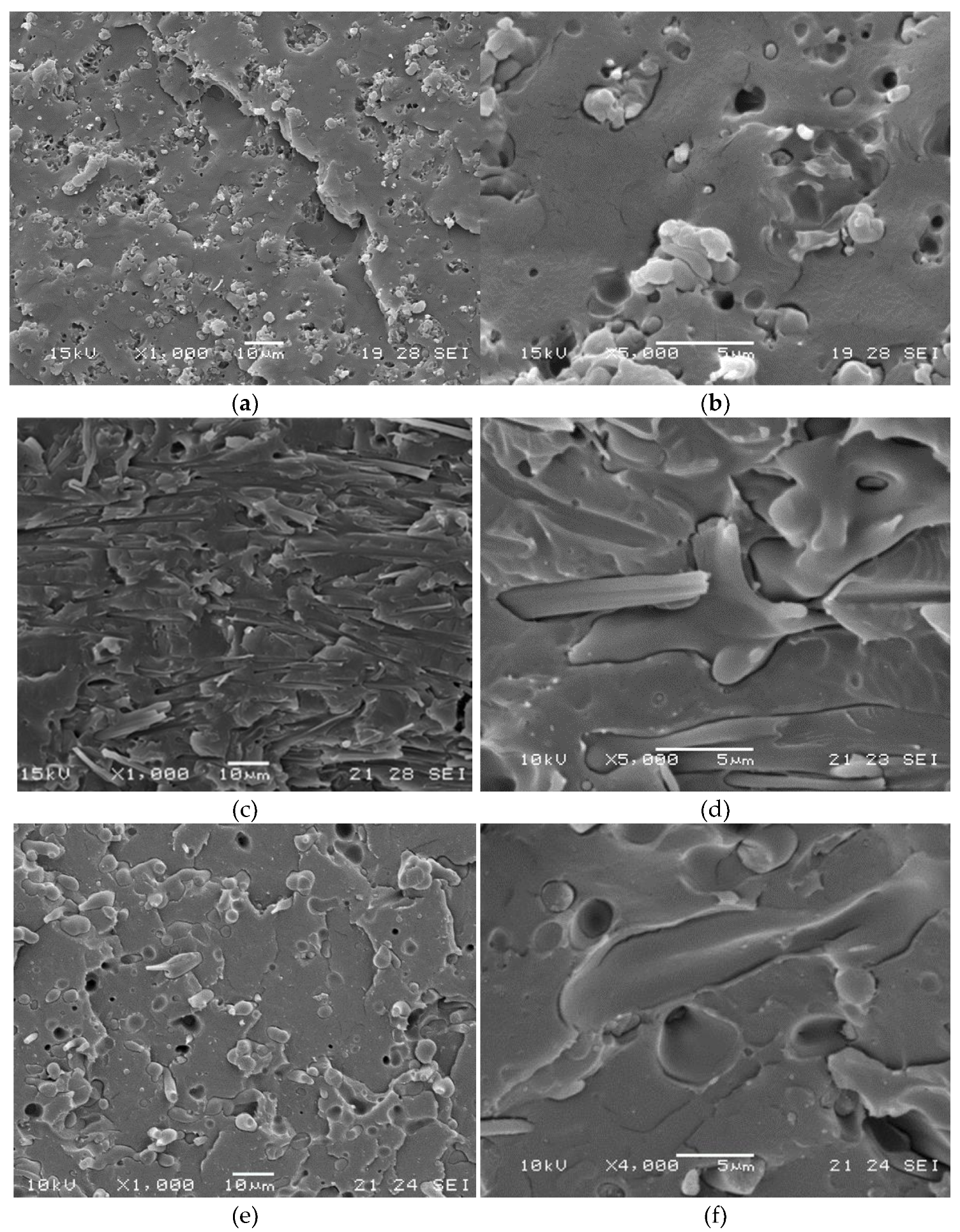 Molecules 26 02006 g008