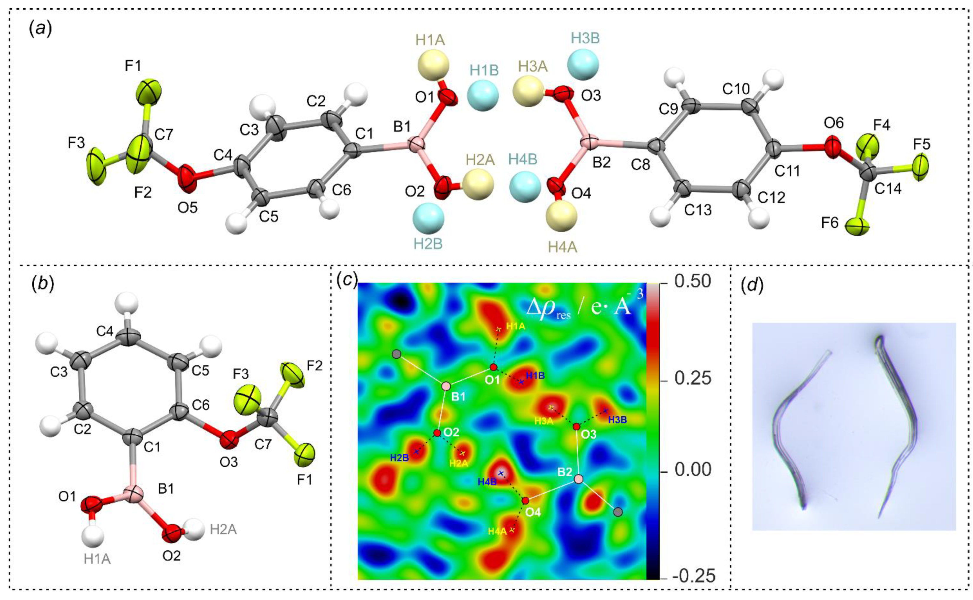 Molecules 26 02007 g005