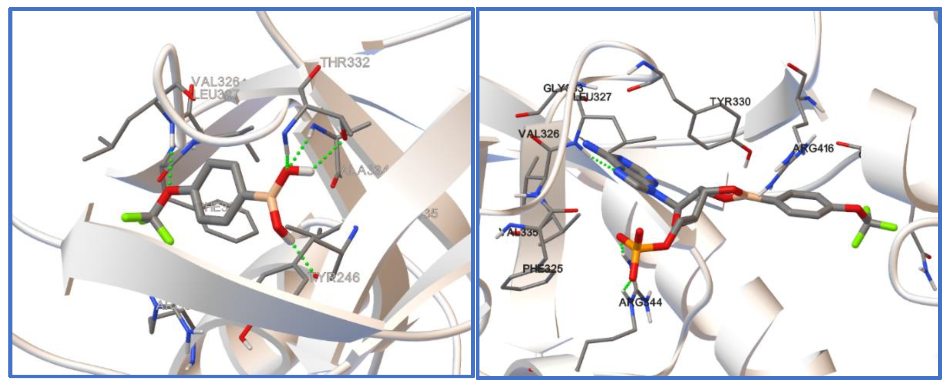 Molecules 26 02007 g008