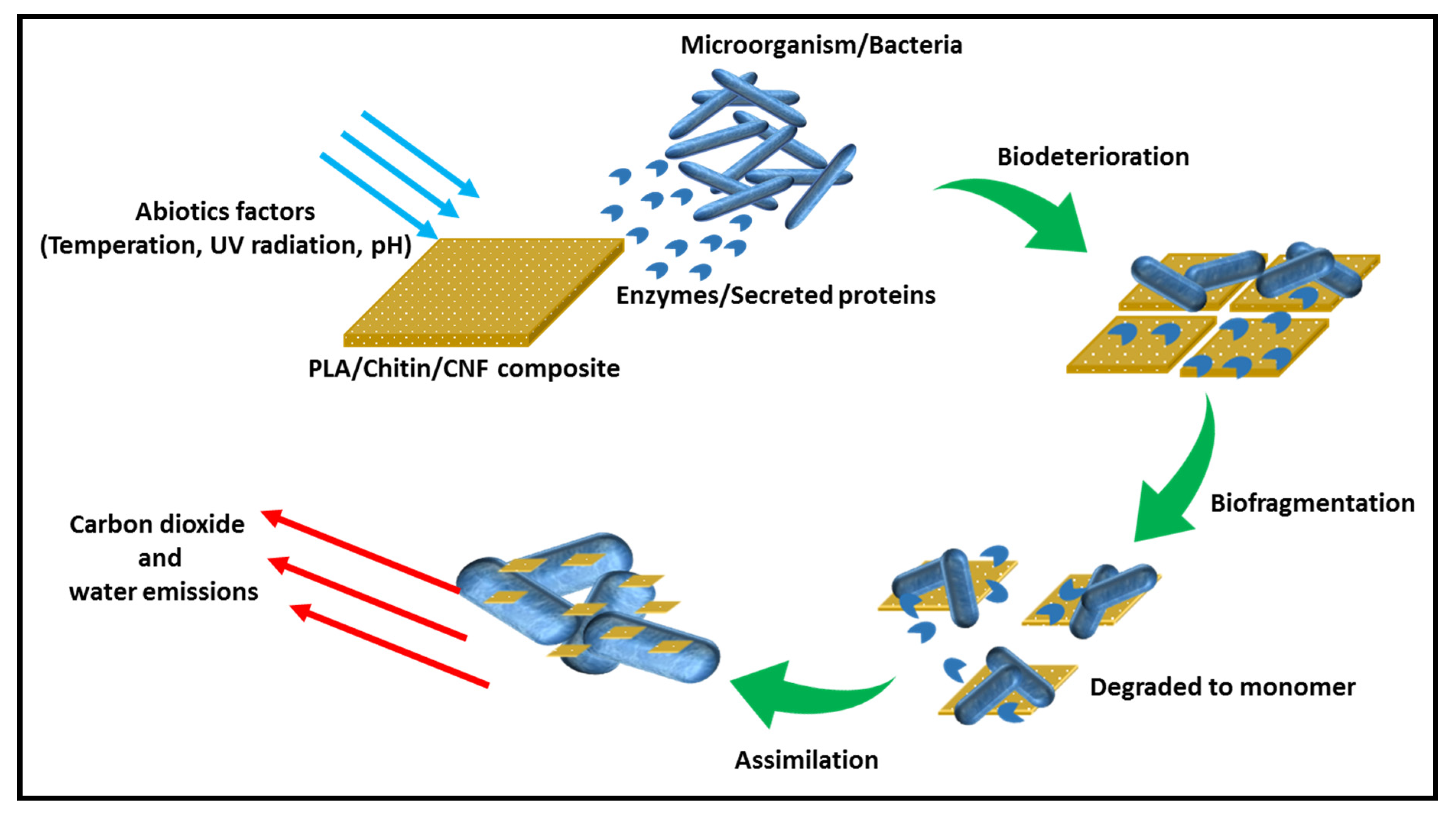 Molecules 26 02008 g003 Molecules 26 02008 g003